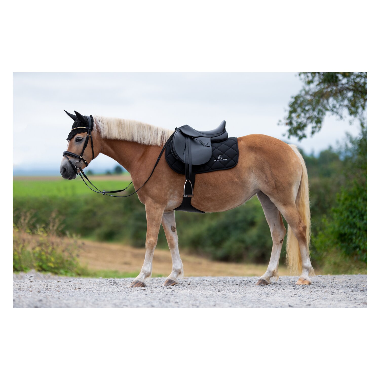 MONTIVUM Stollenschutzgurt Wellington – Ansicht 2