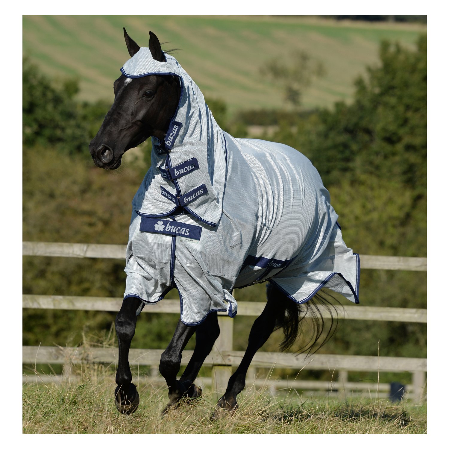 bucas Fliegendecke Buzz-off X – Ansicht 1