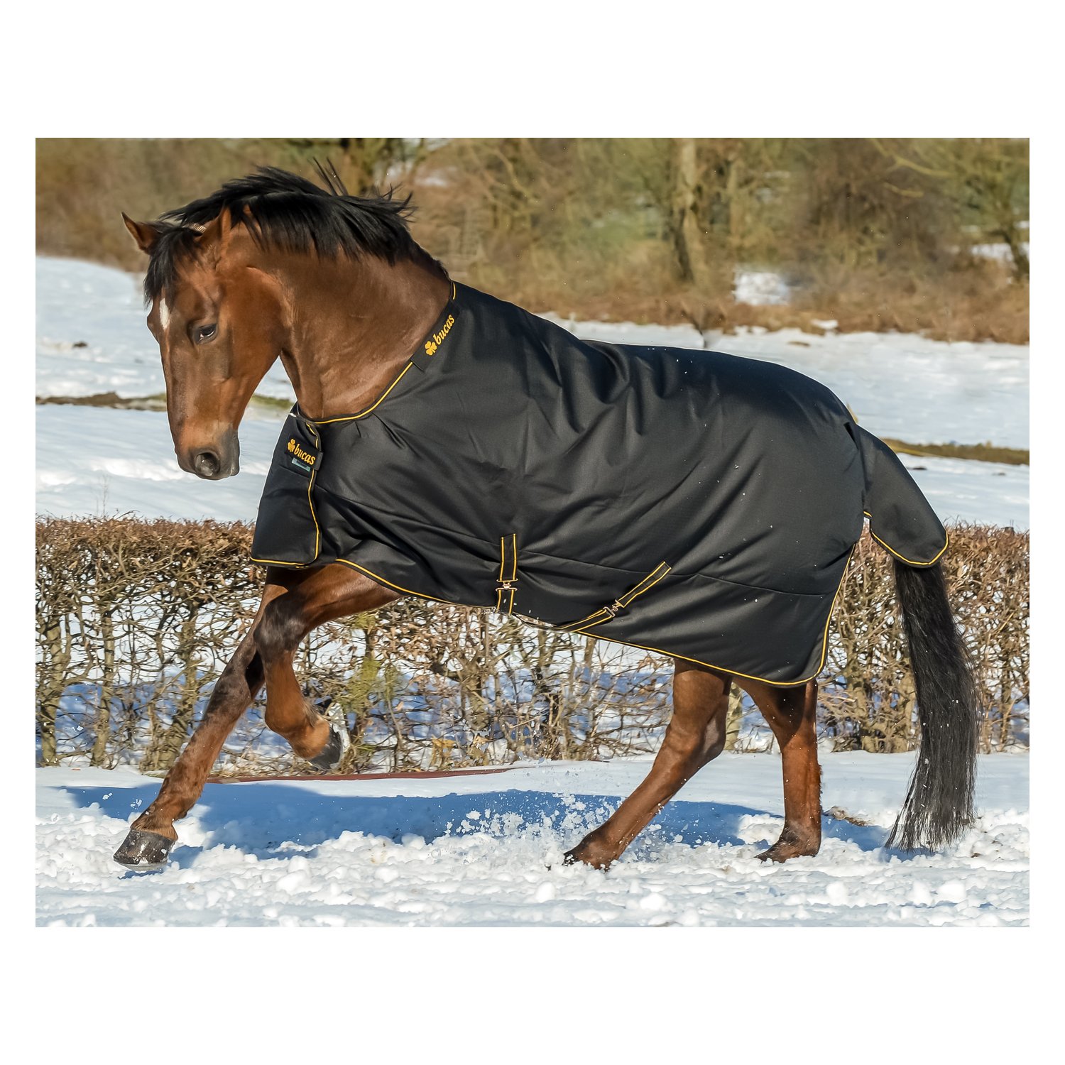 bucas Outdoordecke Irish Turnout 150 g – Ansicht 1