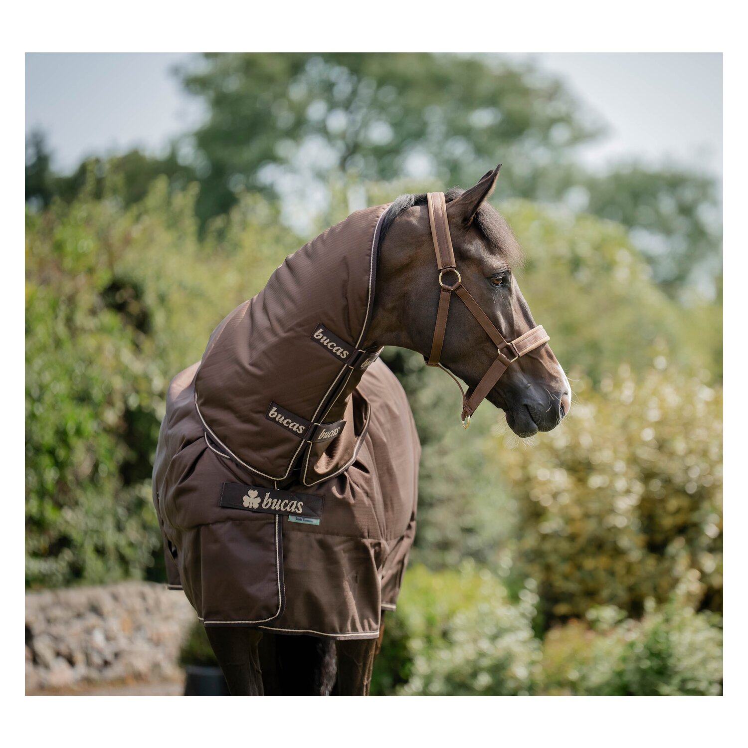 bucas Outdoordecke Irish Turnout 150 g &ndash; Ansicht 5