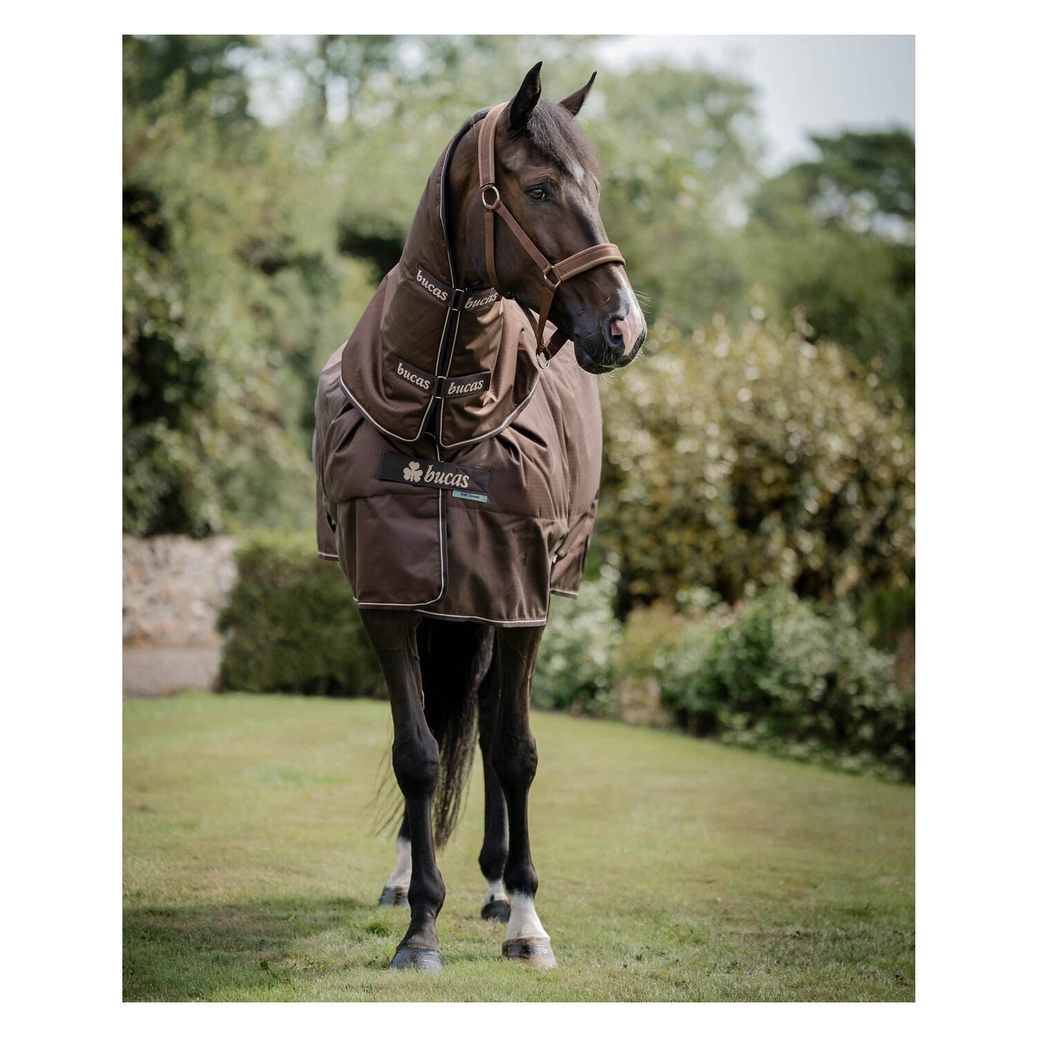bucas Outdoordecke Irish Turnout 150 g &ndash; Ansicht 3