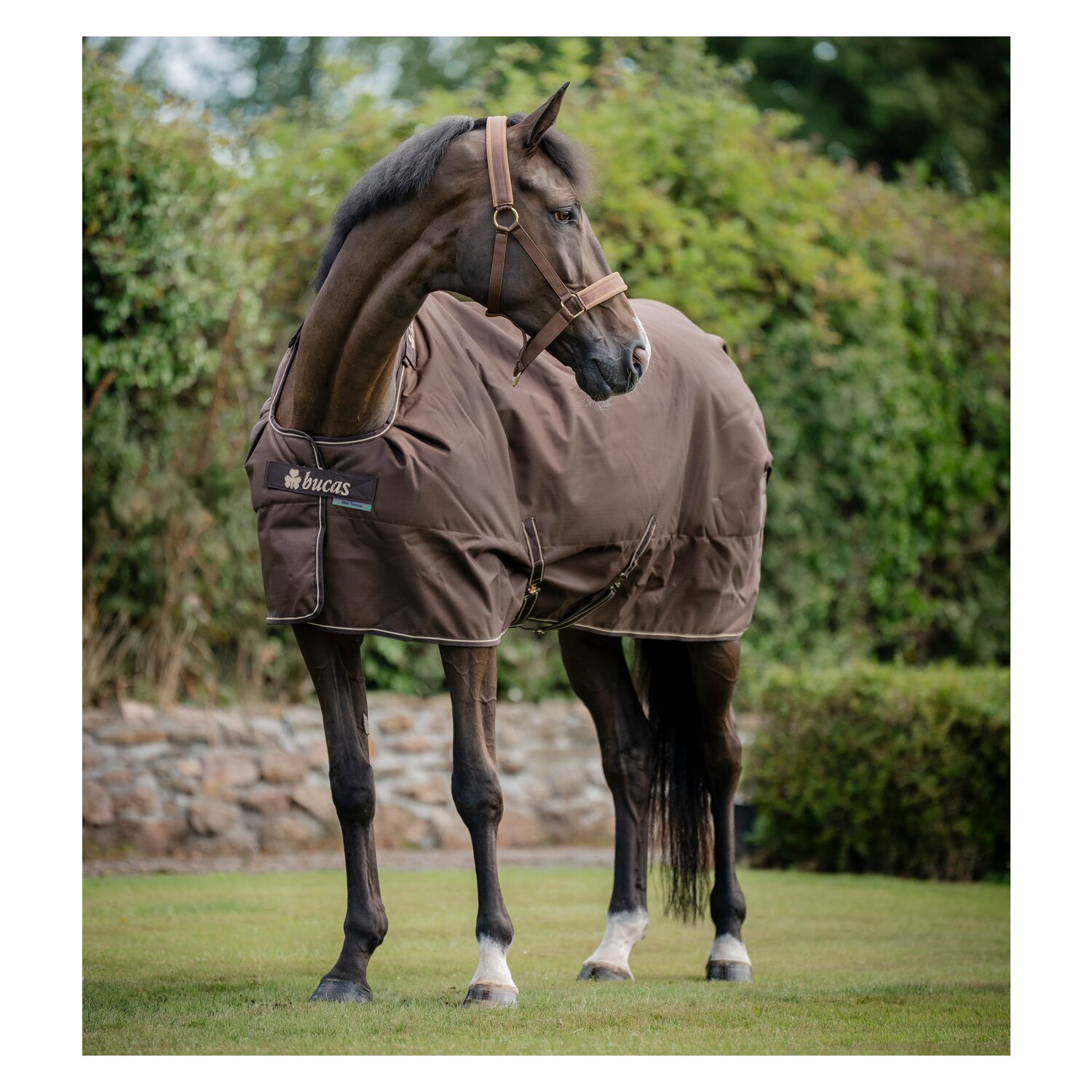 bucas Outdoordecke Irish Turnout 150 g &ndash; Ansicht 6