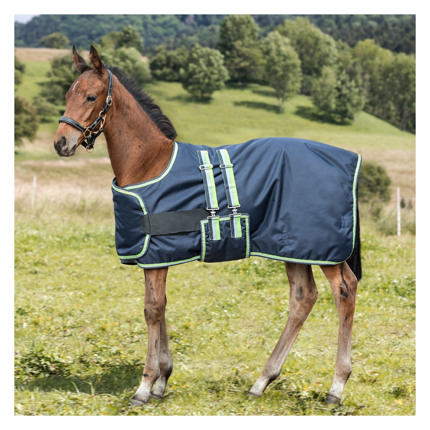 Horse-friends Fohlendecke – Ansicht 1