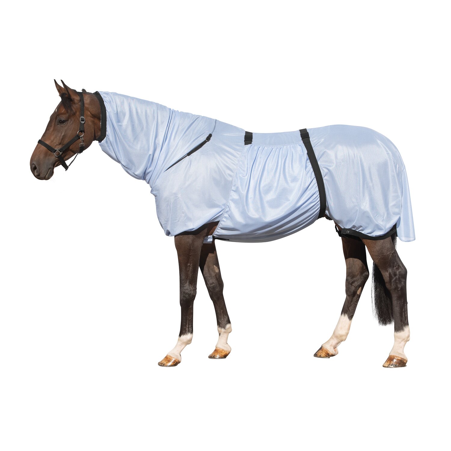 Horse-friends Ekzemerdecke aus Netzgewebe – Ansicht 1