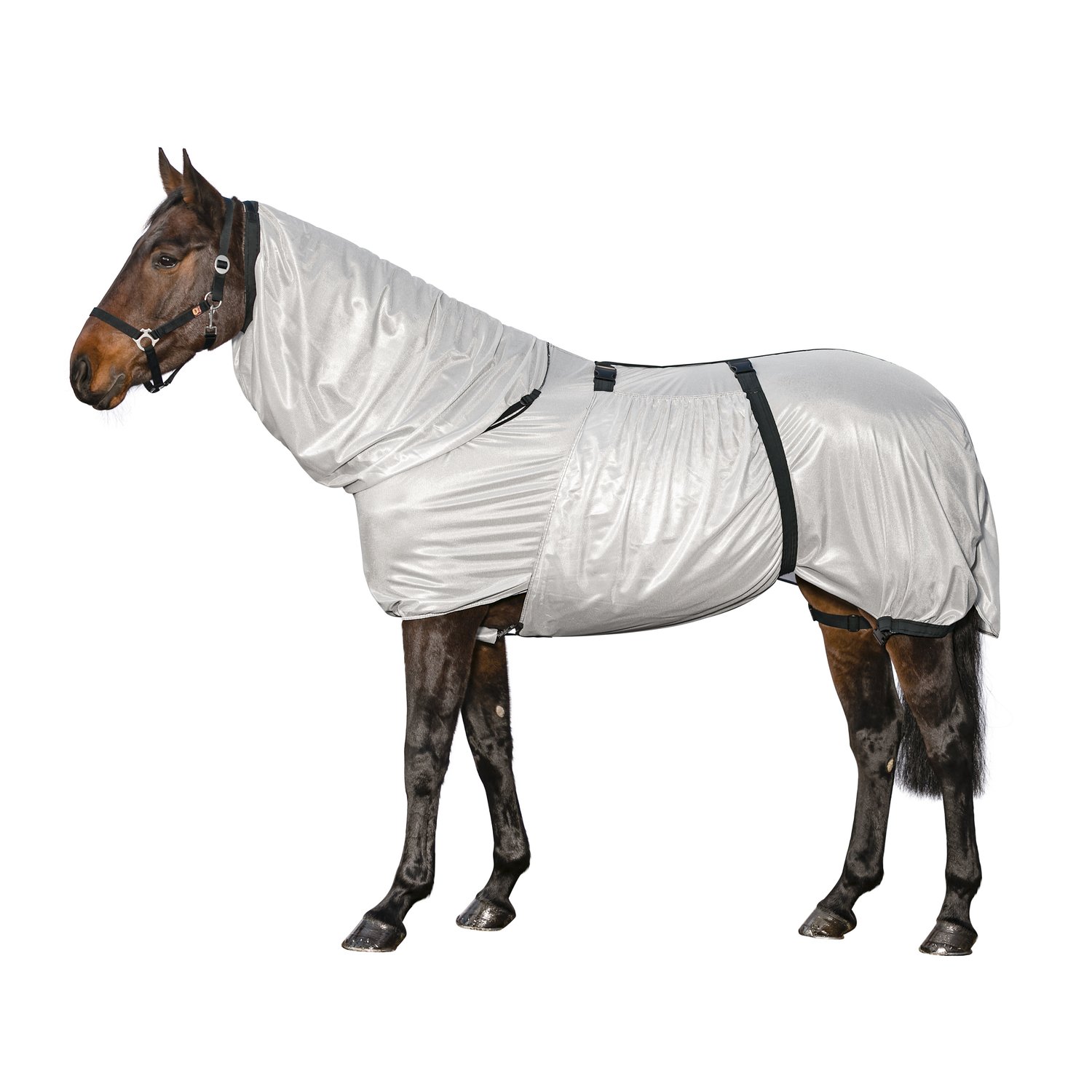 Horse-friends Ekzemerdecke aus Netzgewebe – Ansicht 1