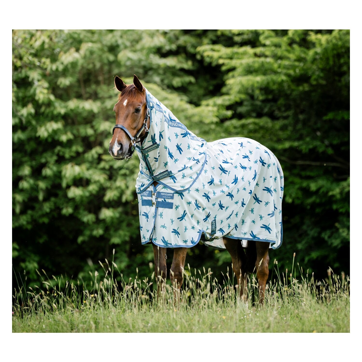 Horseware Fliegendecke Amigo XL Bug Rug &ndash; Ansicht 1