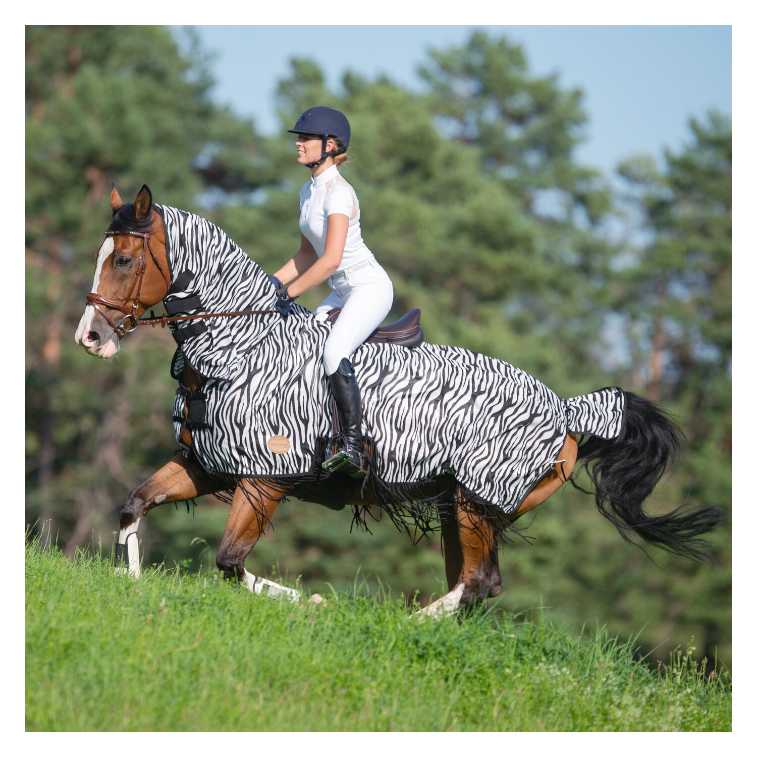 Horse-friends Ausreitdecke Moers mit Fransen – Ansicht 3