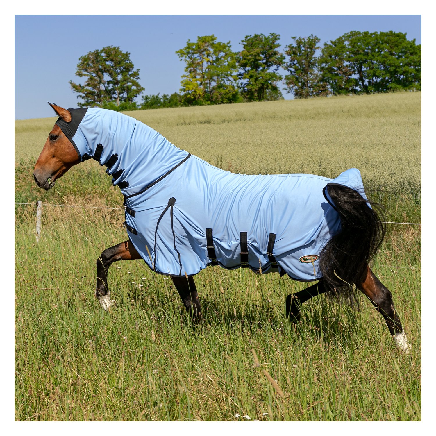 IRISh INNOVATION Ekzemer- und Fliegendecke – Ansicht 1