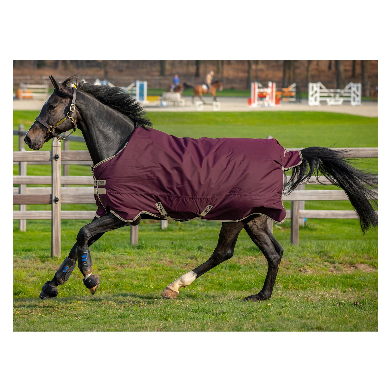 Horseware Outdoordecke AMIGO Hero Ripstop 100 g – Ansicht 1