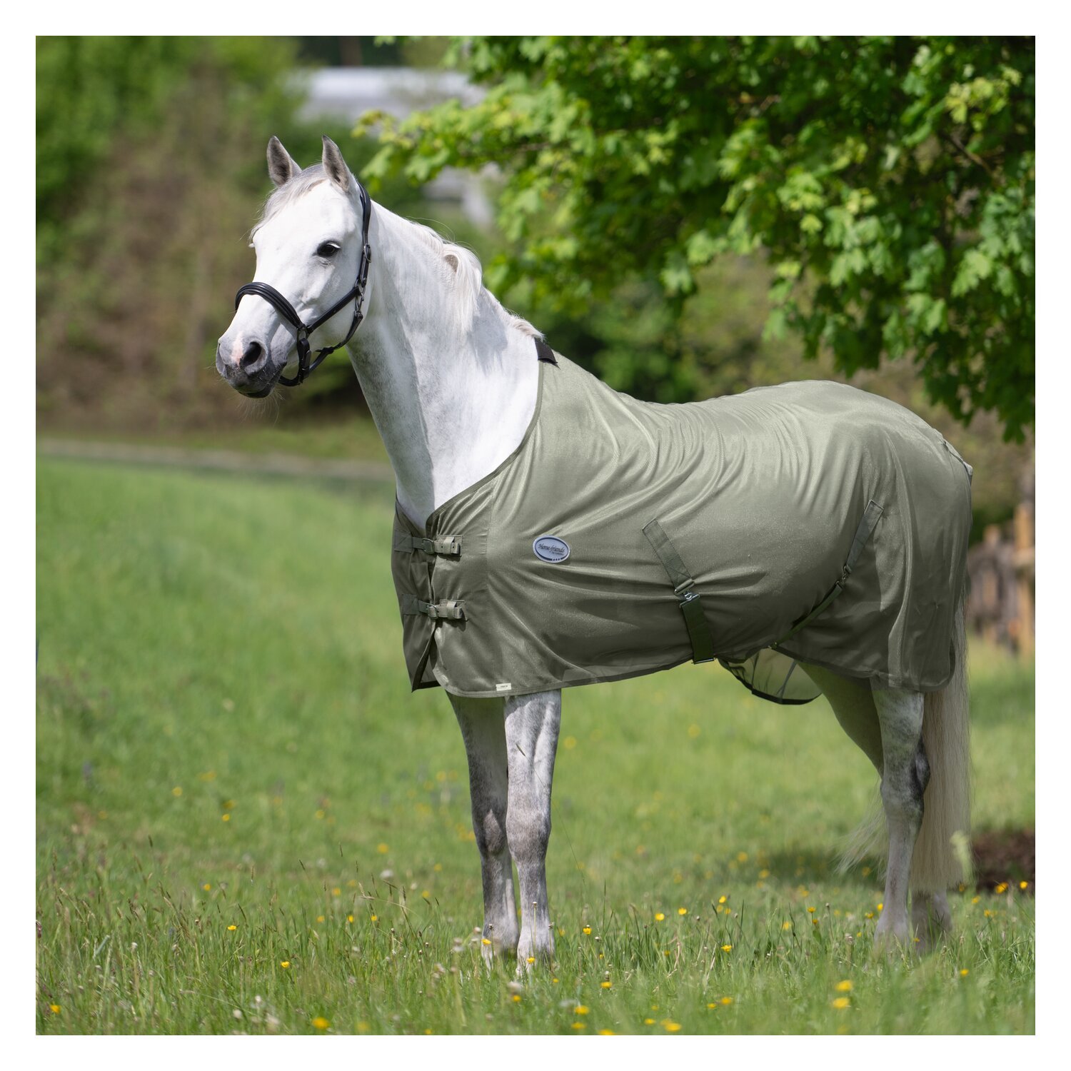Horse-friends Fliegendecke feinmaschig – Ansicht 2