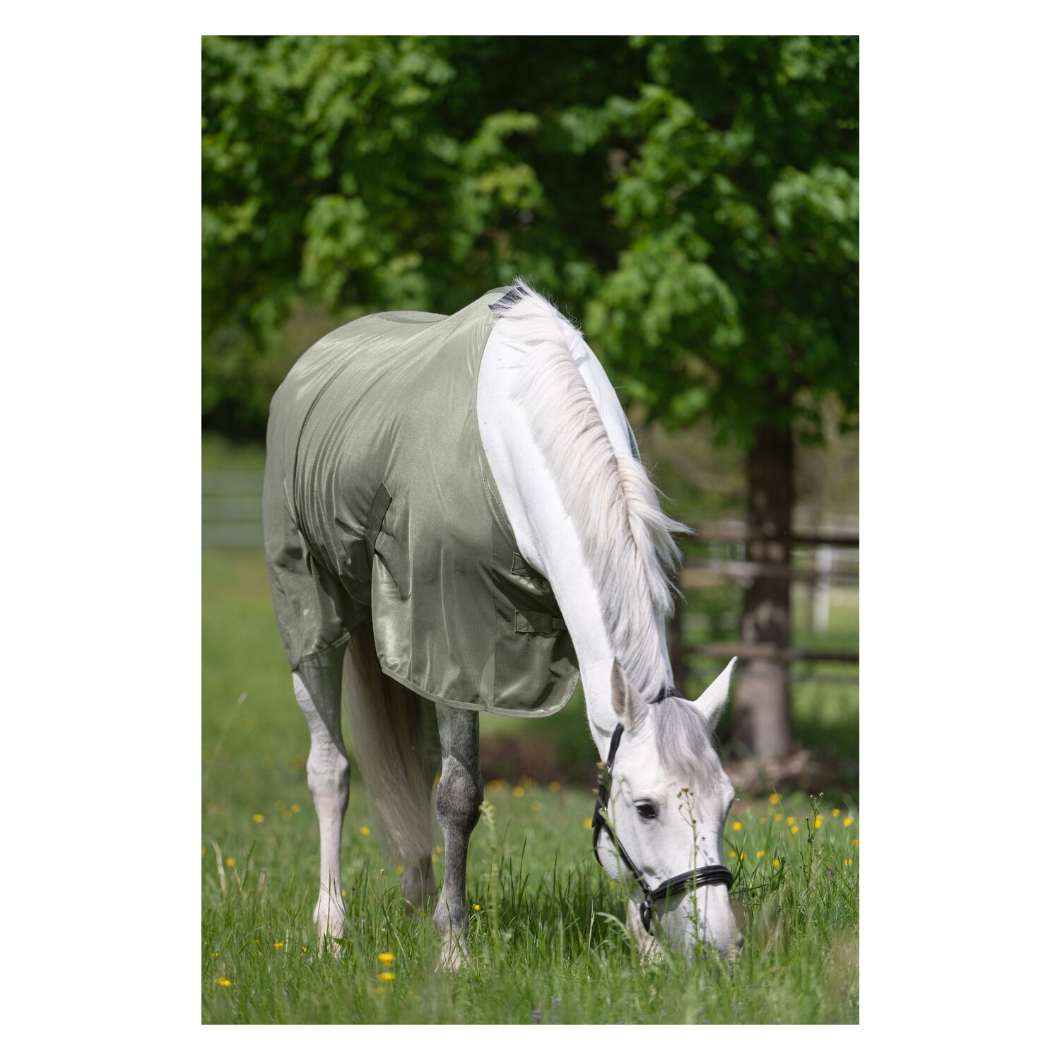 Horse-friends Fliegendecke feinmaschig – Ansicht 3