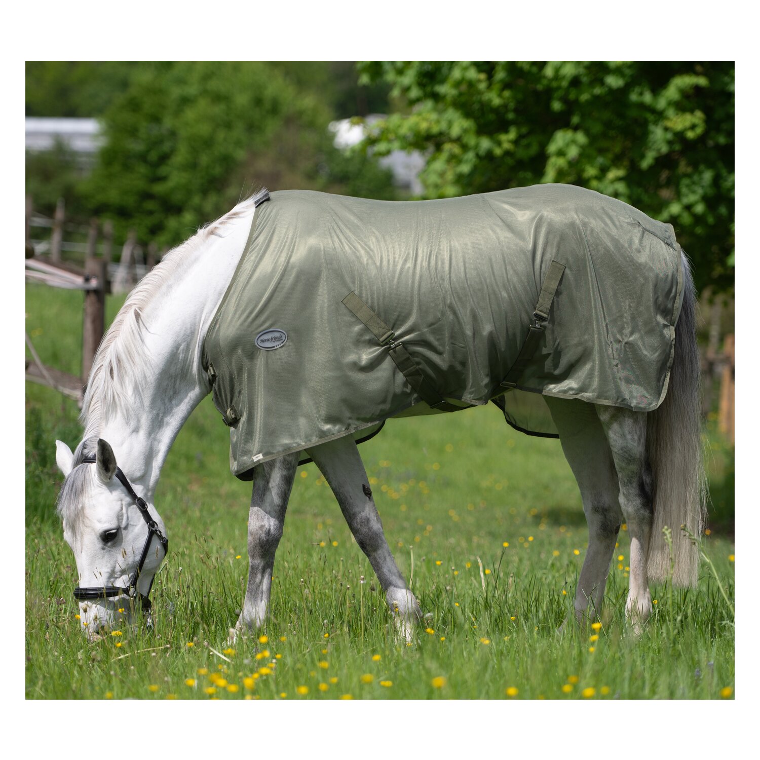 Horse-friends Fliegendecke feinmaschig – Ansicht 4