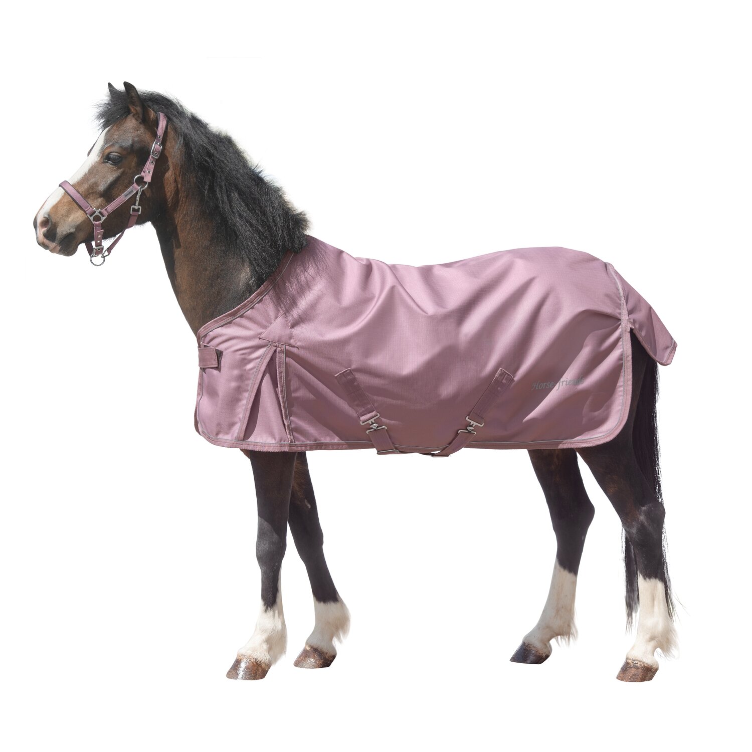 Horse-friends Outdoordecke 150g, für Minishetty und Shetty &ndash; Ansicht 1