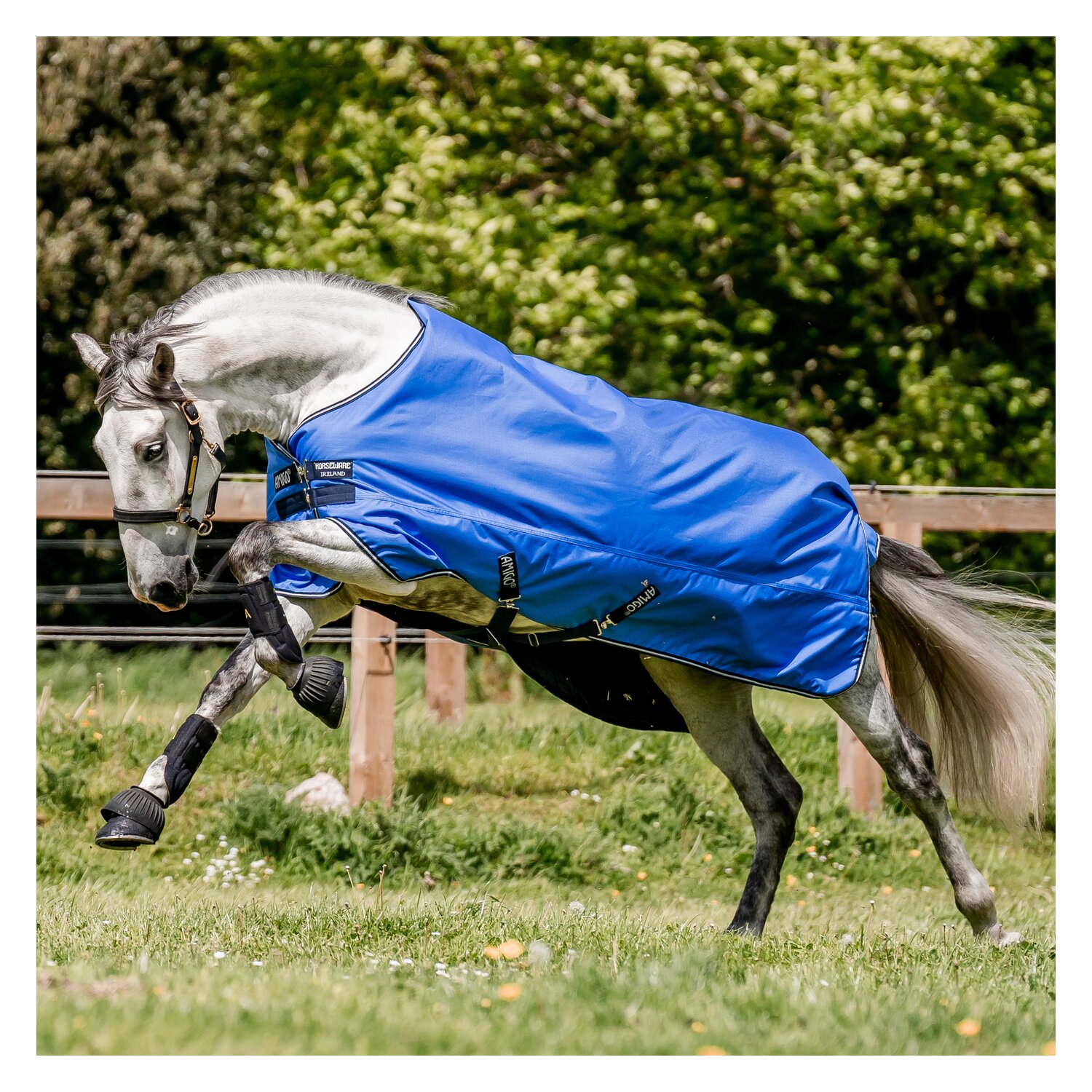 HORSEWARE Outdoordecke AMIGO Hero Ripstop 50 g &ndash; Ansicht 2