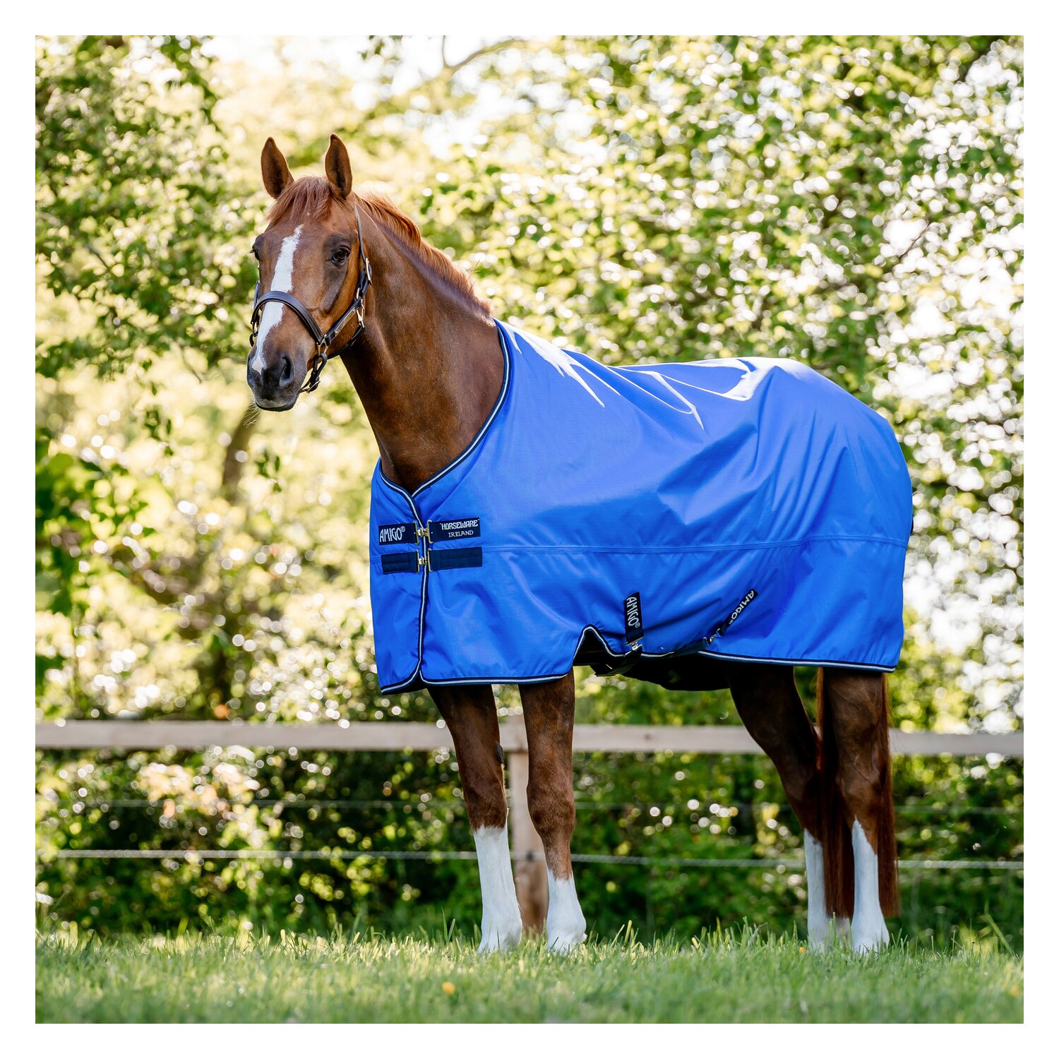 HORSEWARE Outdoordecke AMIGO Hero Ripstop 50 g &ndash; Ansicht 3