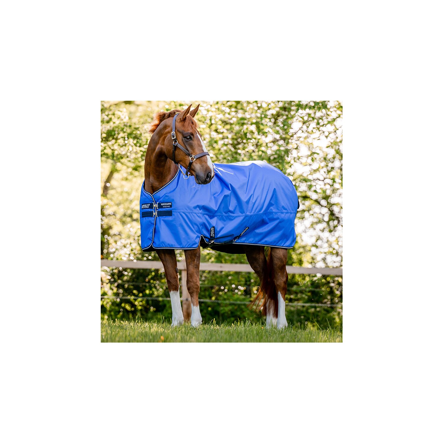 HORSEWARE Outdoordecke AMIGO Hero Ripstop 50 g &ndash; Ansicht 1