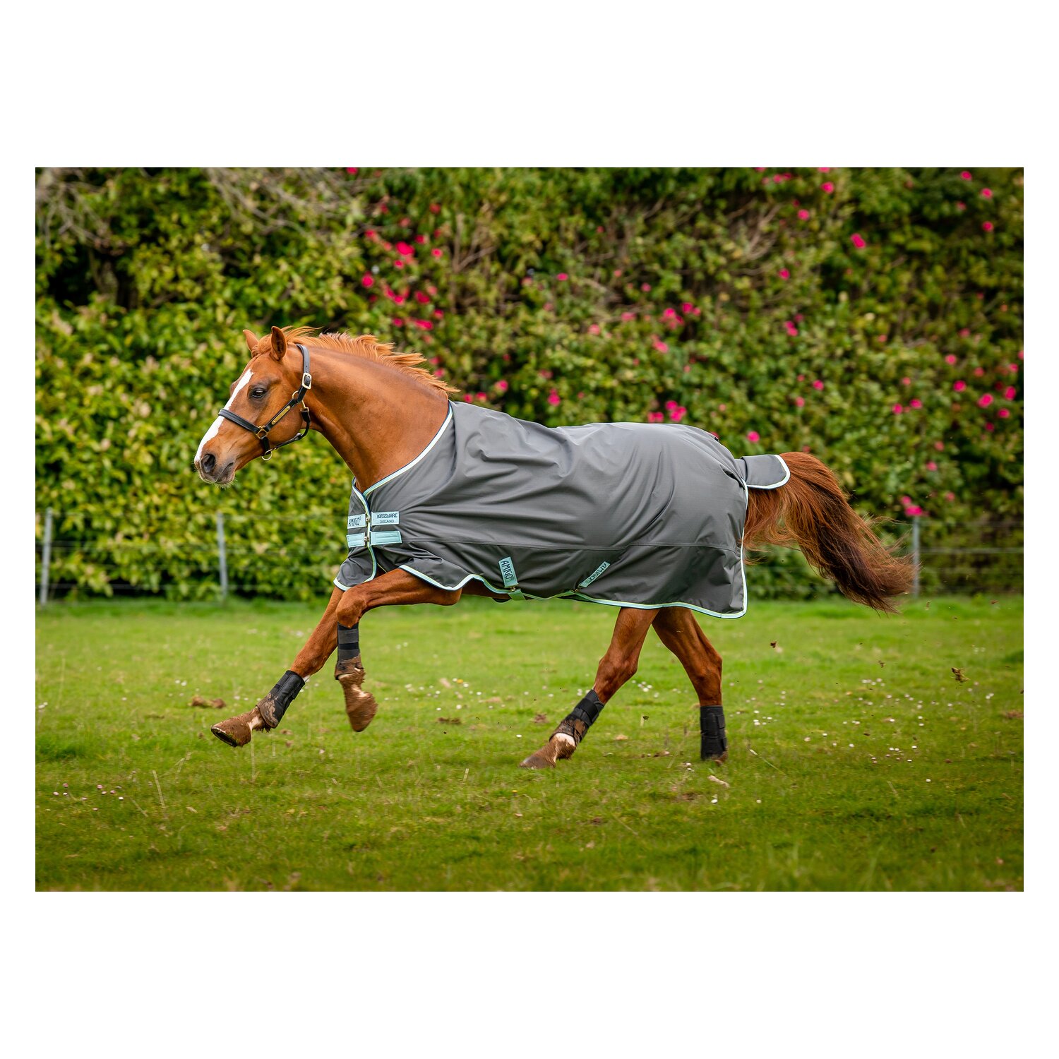 HORSEWARE Outdoordecke AMIGO Hero Ripstop 50 g