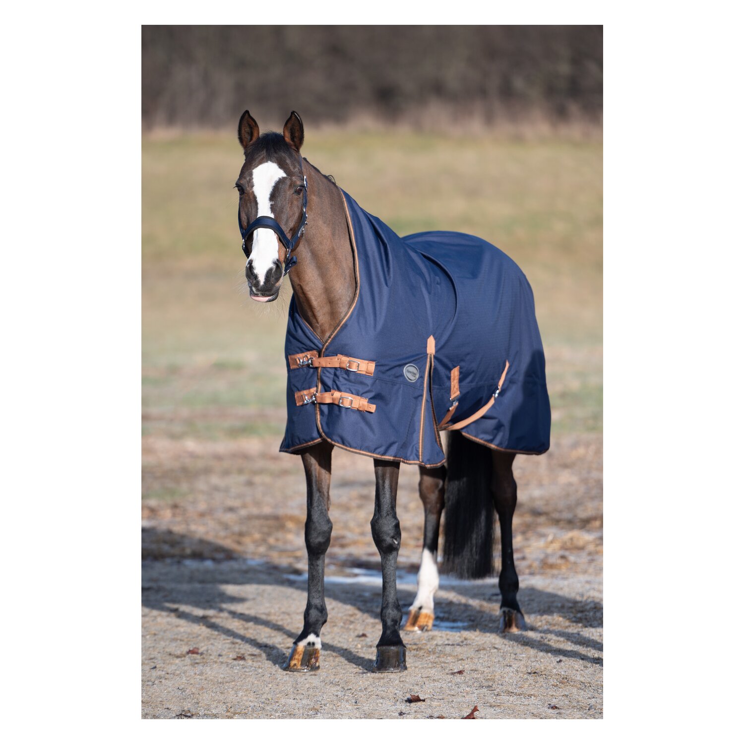 Horse-friends Outdoordecke Hamburg High Neck 100g – Ansicht 2
