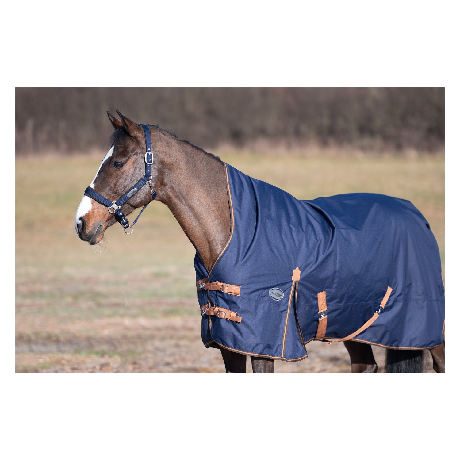 Horse-friends Outdoordecke Hamburg High Neck 100g – Ansicht 3