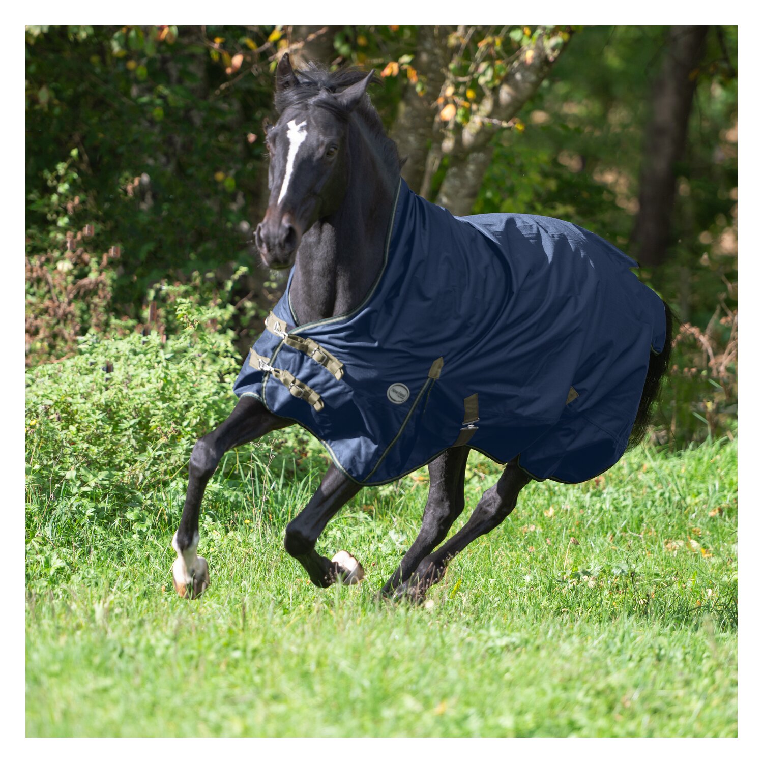 Horse-friends Outdoordecke Hamburg High Neck 0 g – Ansicht 2