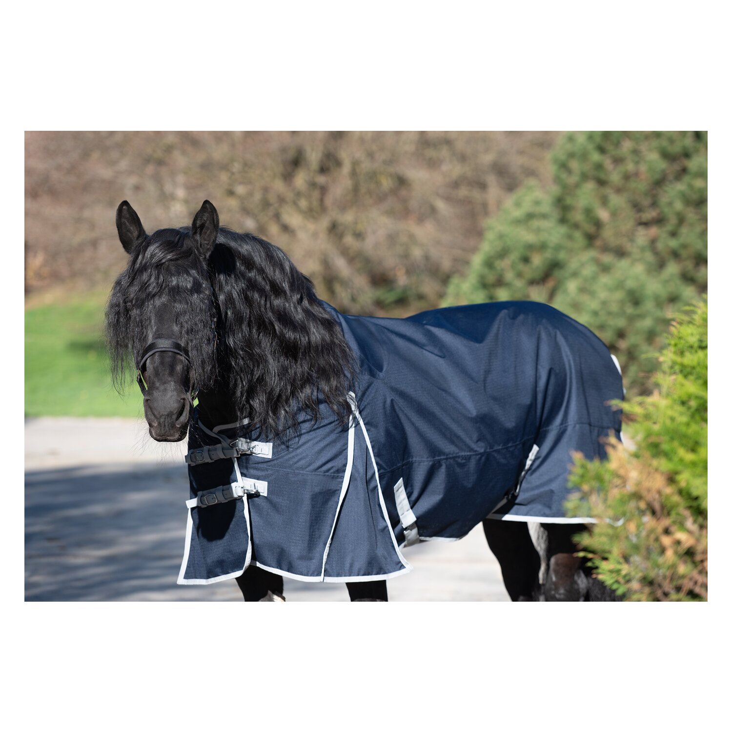 Horse-friends Outdoordecke XL Parla, 50 g &ndash; Ansicht 2