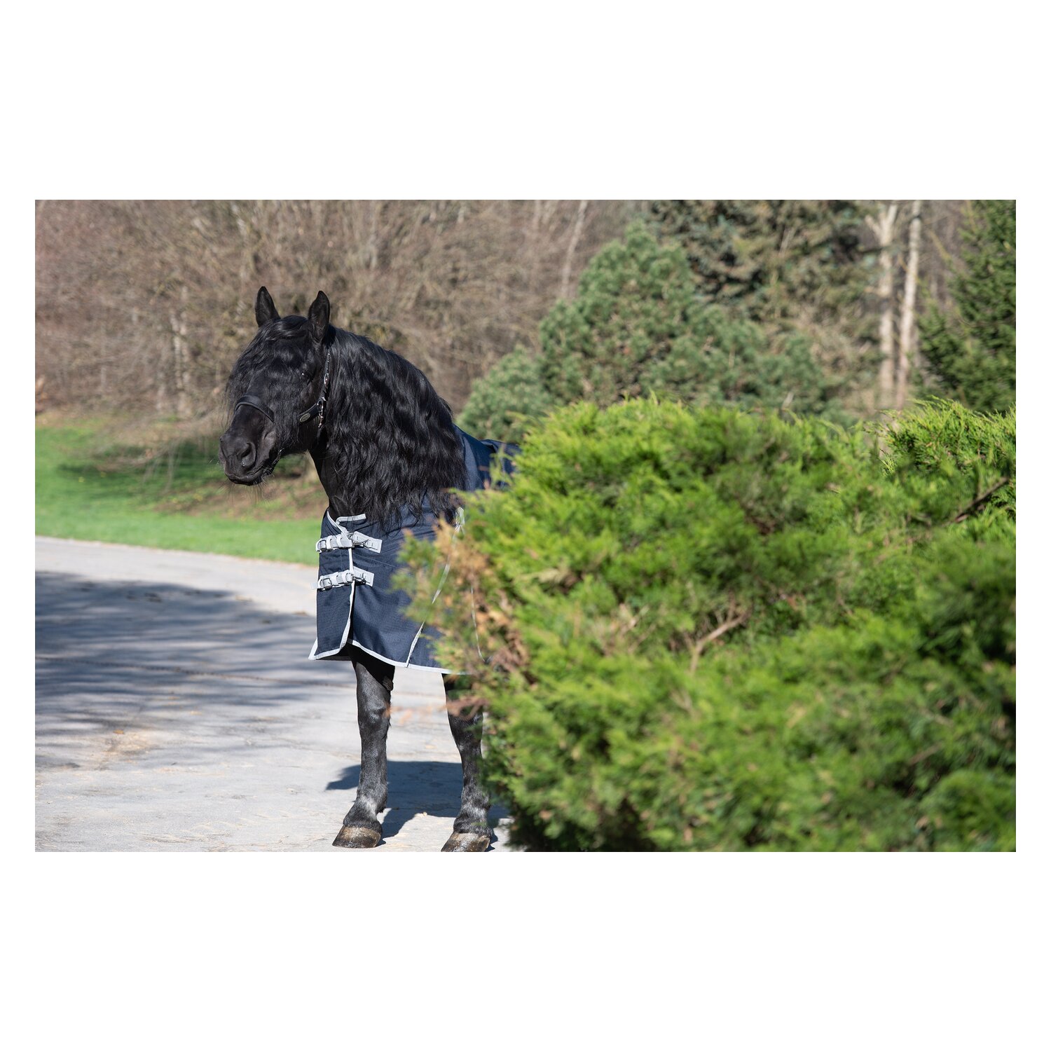 Horse-friends Outdoordecke XL Parla, 50 g &ndash; Ansicht 3
