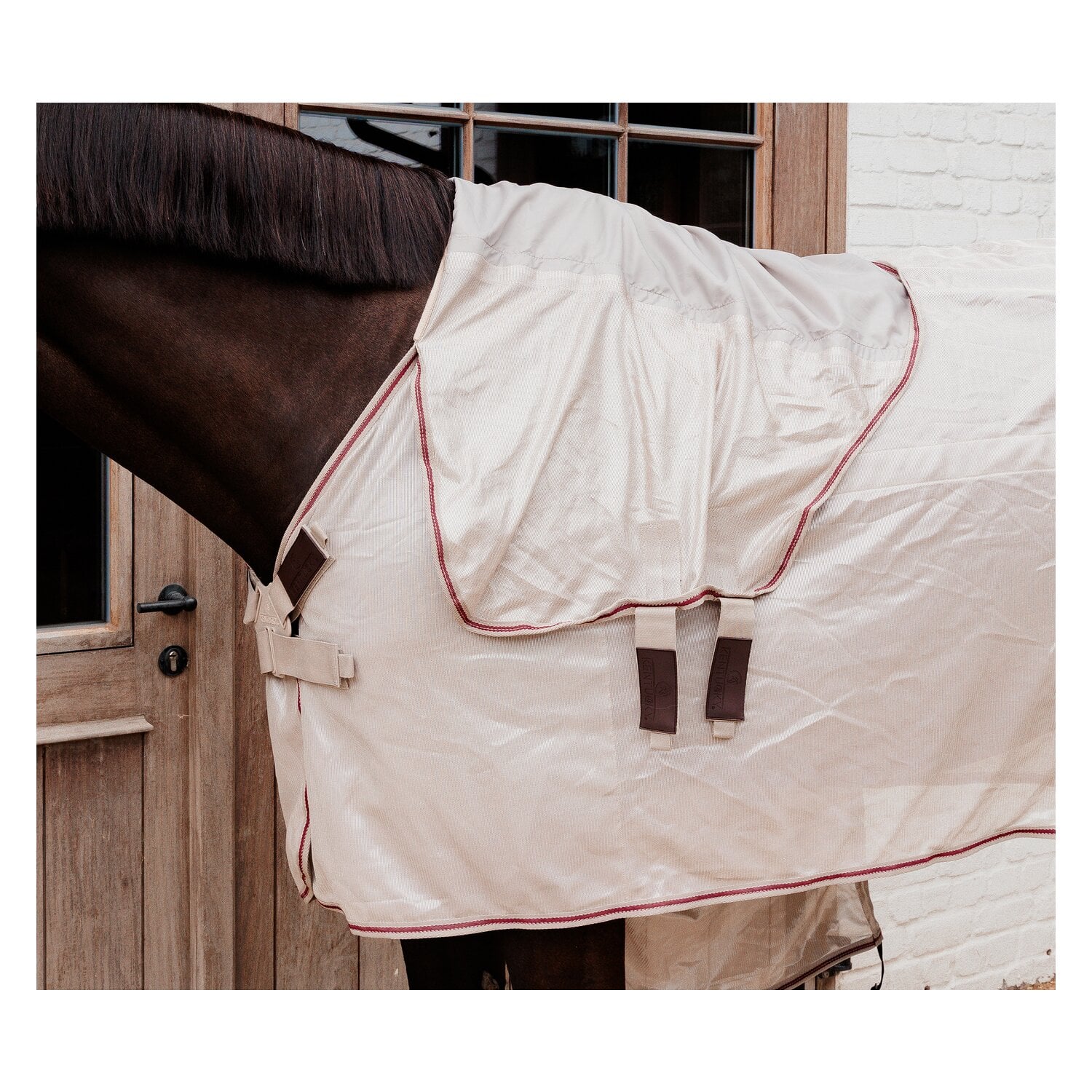 KENTUCKY Fliegendecke Comfort Classic &ndash; Ansicht 7