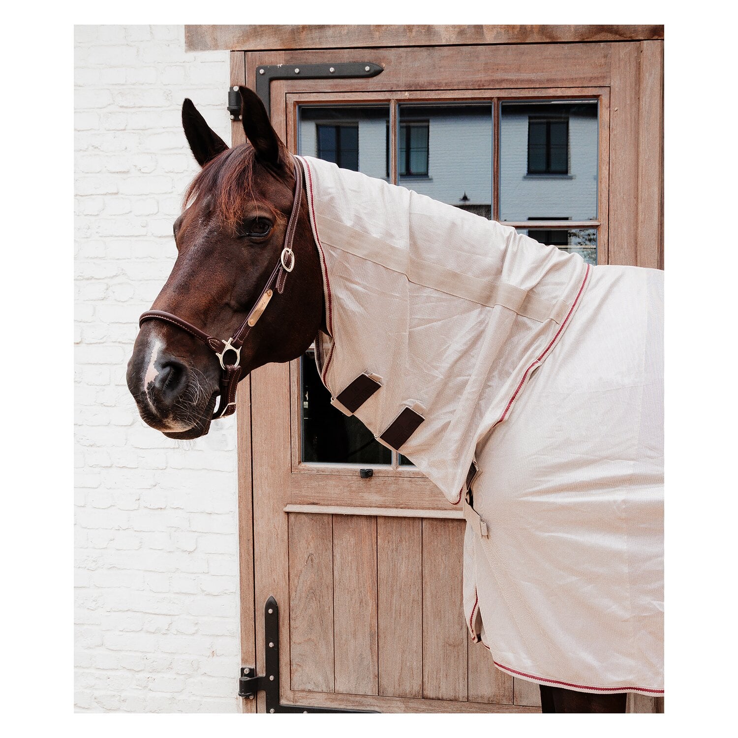 KENTUCKY Fliegendecke Comfort Classic &ndash; Ansicht 2