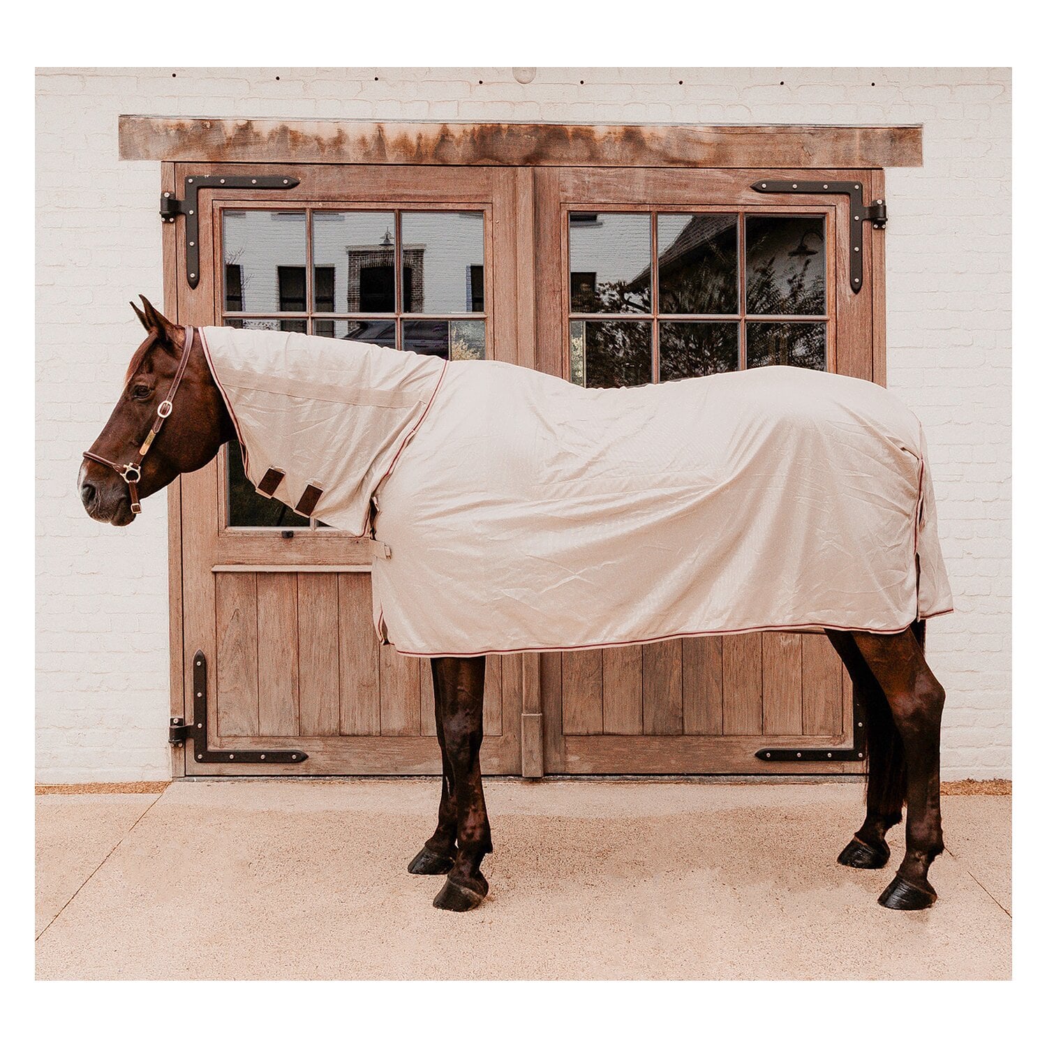 KENTUCKY Fliegendecke Comfort Classic &ndash; Ansicht 1