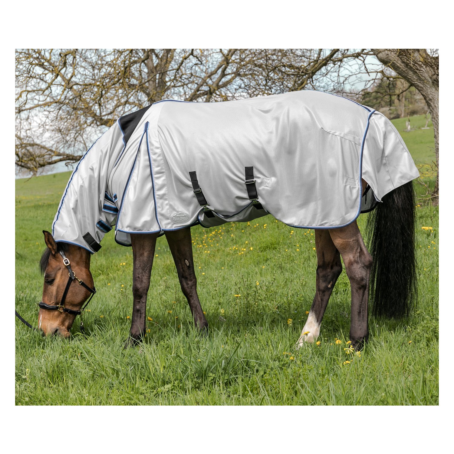 Horse-friends Fliegendecke mit elastischem Einsatz – Ansicht 2