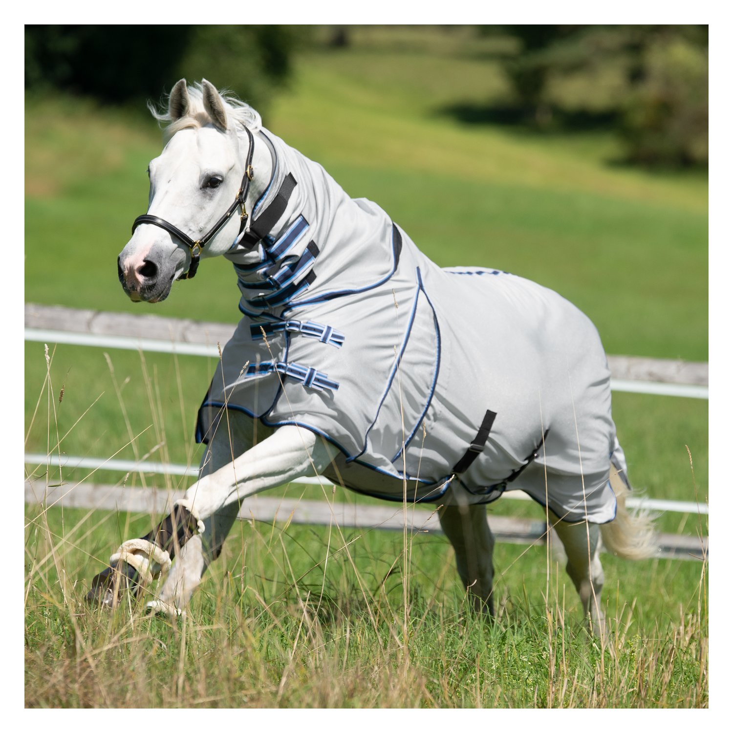 Horse-friends Fliegendecke mit elastischem Einsatz – Ansicht 3