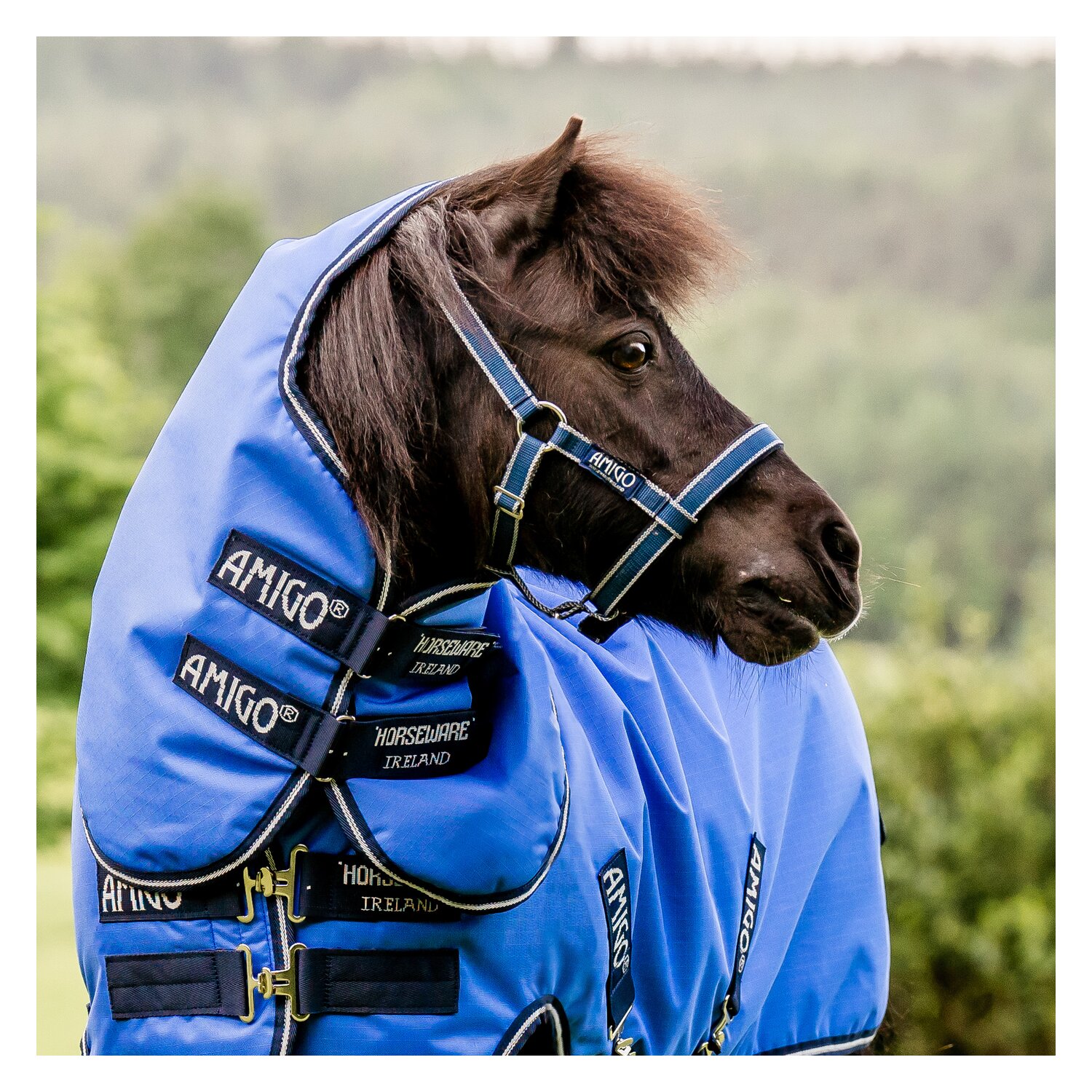 HORSEWARE Halsteil AMIGO Hero Ripstop