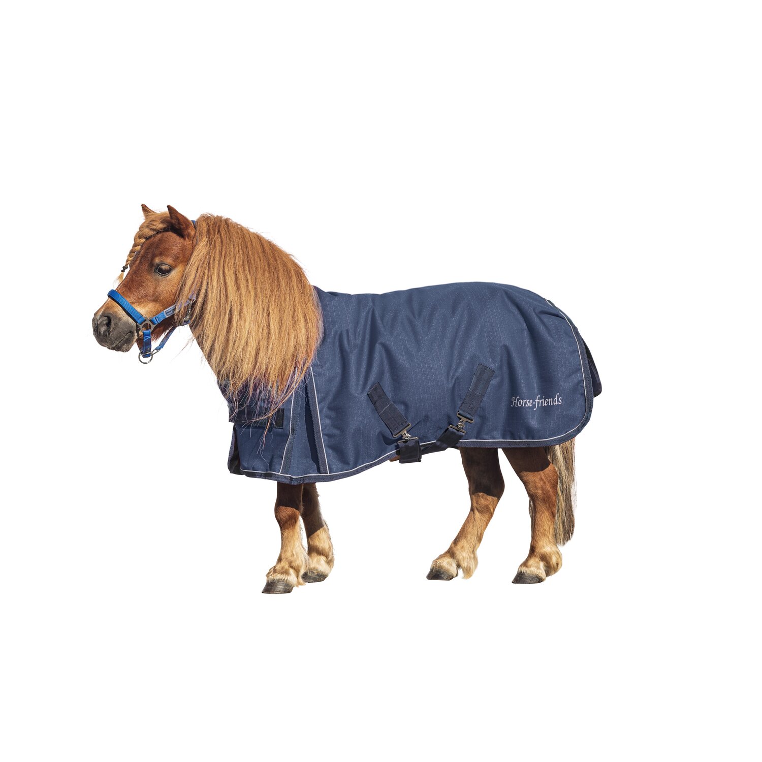 Horse-friends Outdoordecke – Ansicht 1