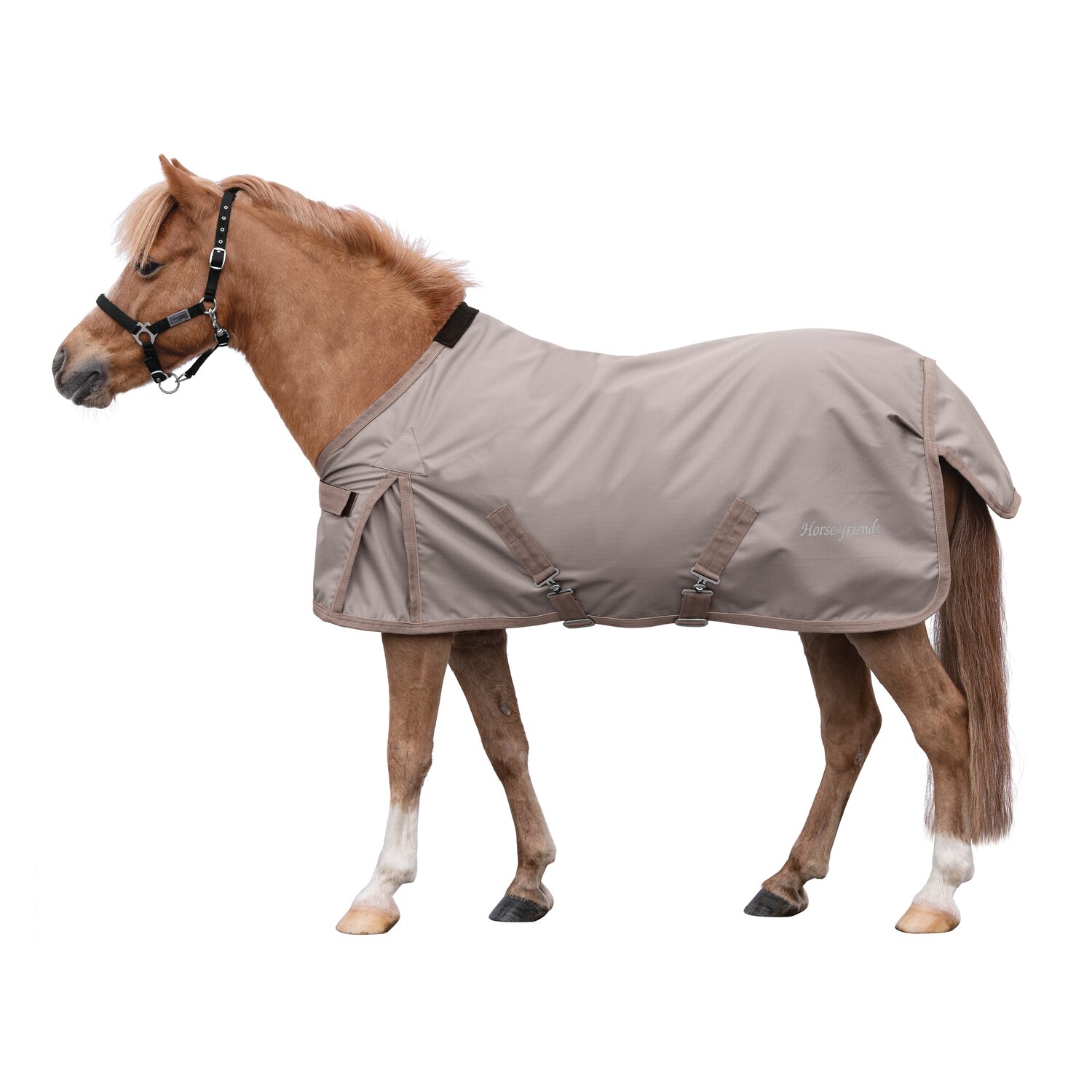 Horse-friends Outdoordecke – Ansicht 1