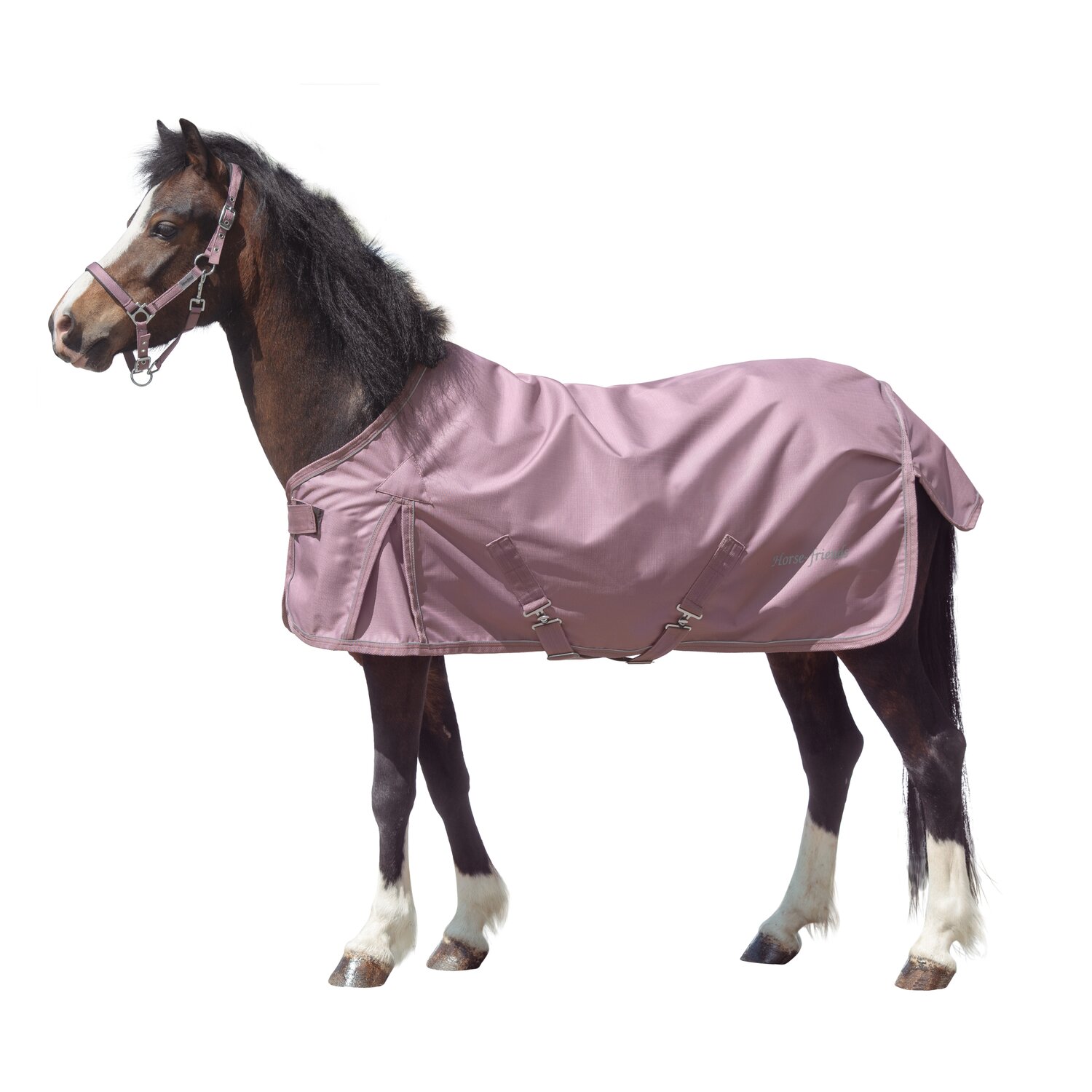 Horse-friends Outdoordecke – Ansicht 1