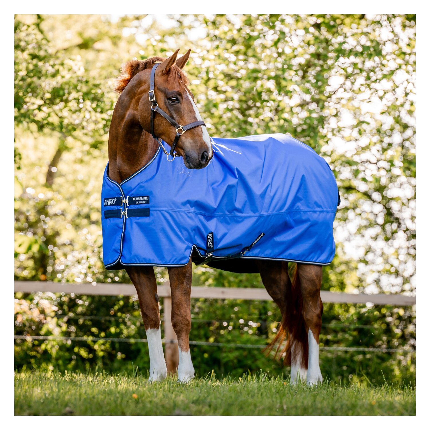 Horseware Outdoordecke AMIGO Hero Ripstop Lite – Ansicht 2