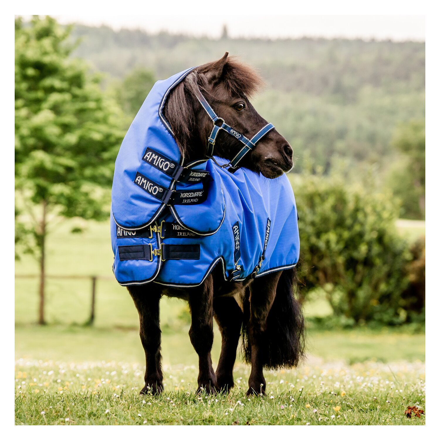 Horseware Outdoordecke AMIGO Hero Ripstop Lite – Ansicht 1