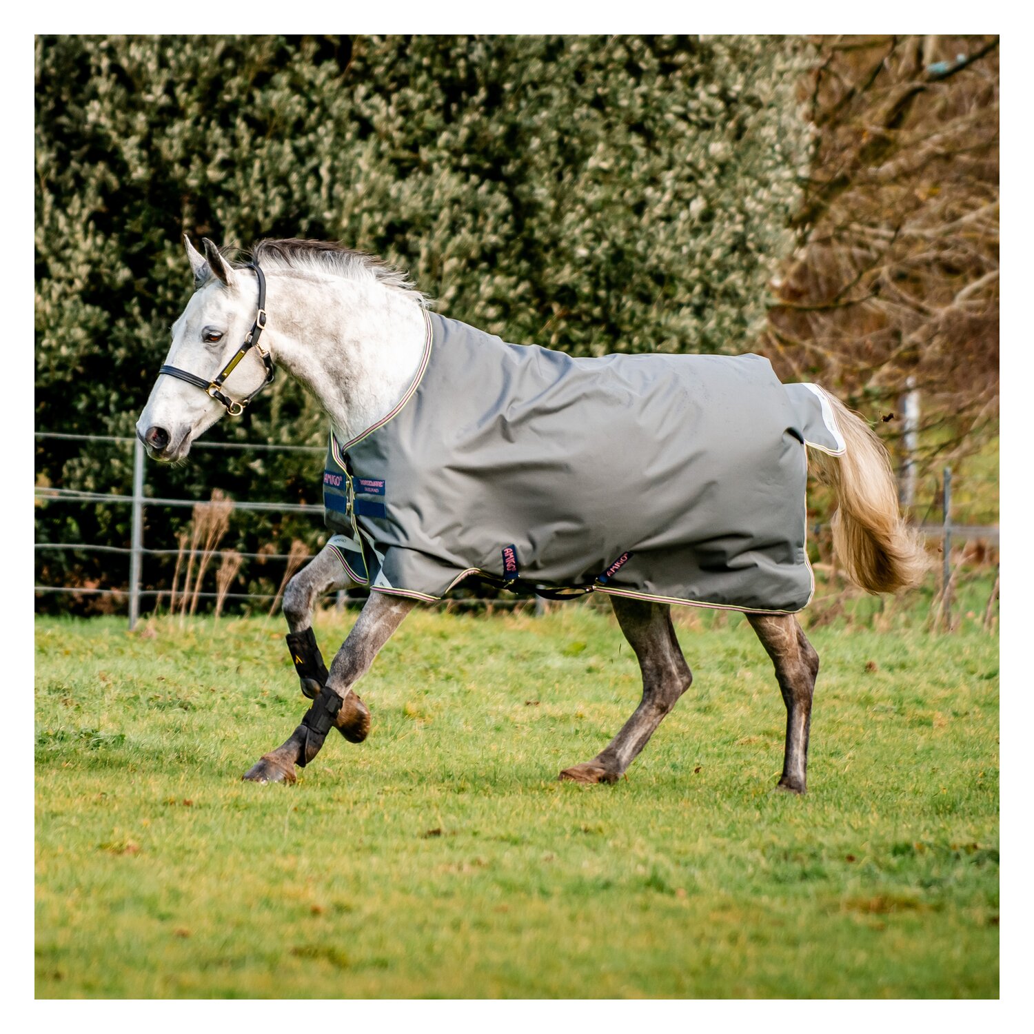 Horseware Outdoordecke AMIGO Hero Ripstop Lite – Ansicht 2