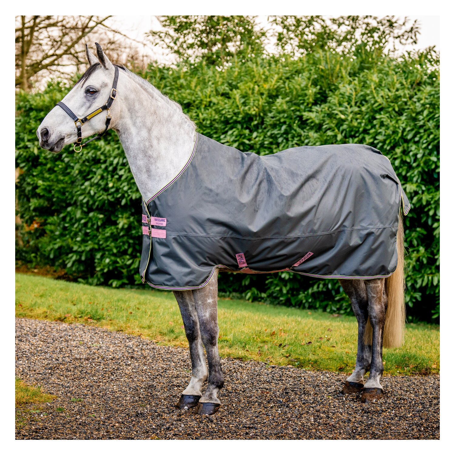 Horseware Outdoordecke AMIGO Hero Ripstop Lite – Ansicht 1