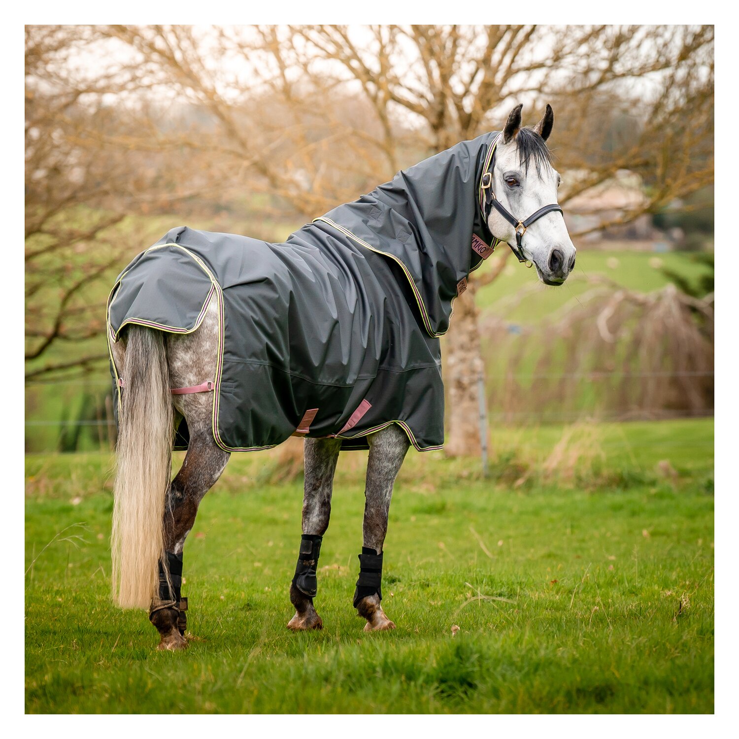 HORSEWARE Outdoordecke Amigo Hero Ripstop Plus Lite &ndash; Ansicht 2