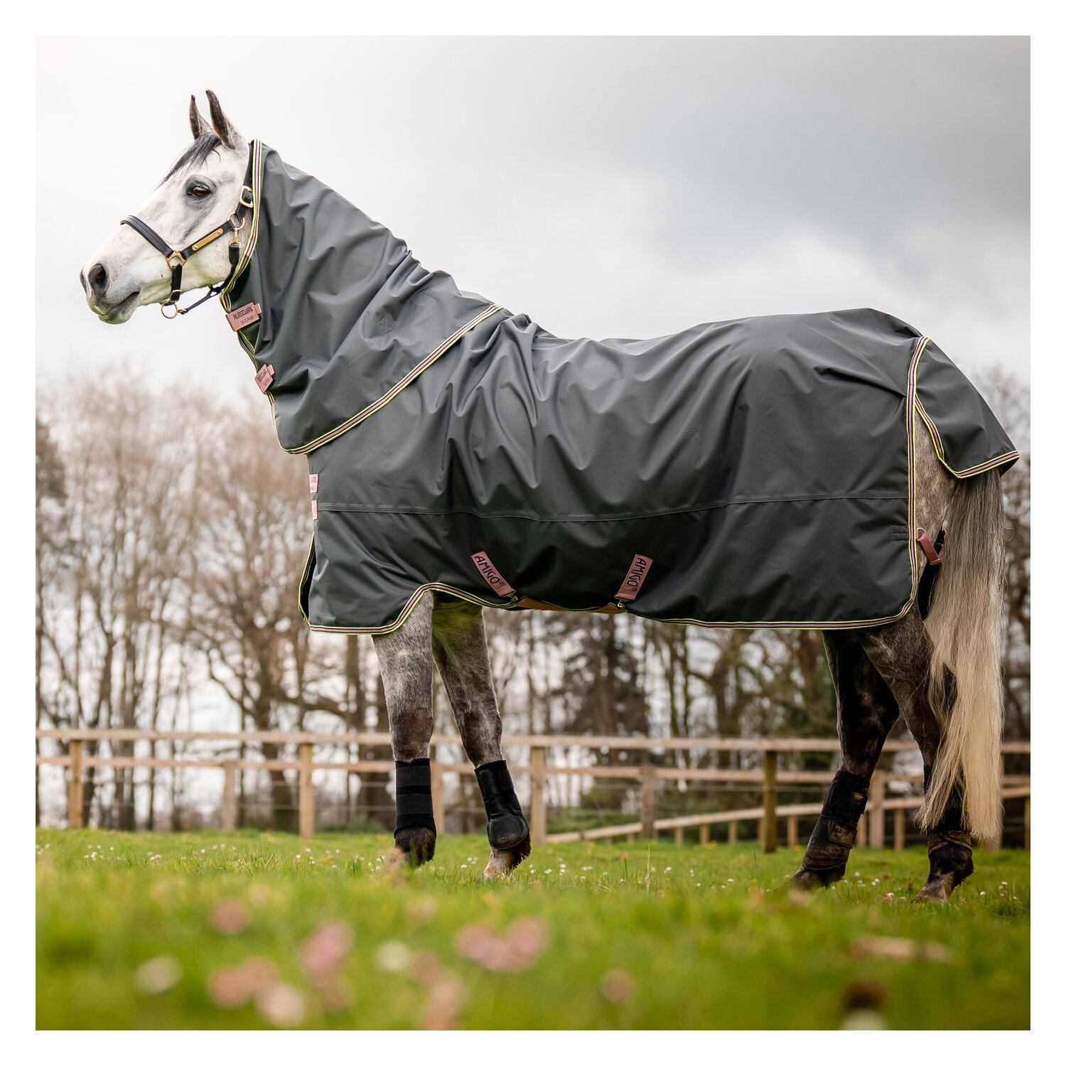 HORSEWARE Outdoordecke Amigo Hero Ripstop Plus Lite &ndash; Ansicht 3