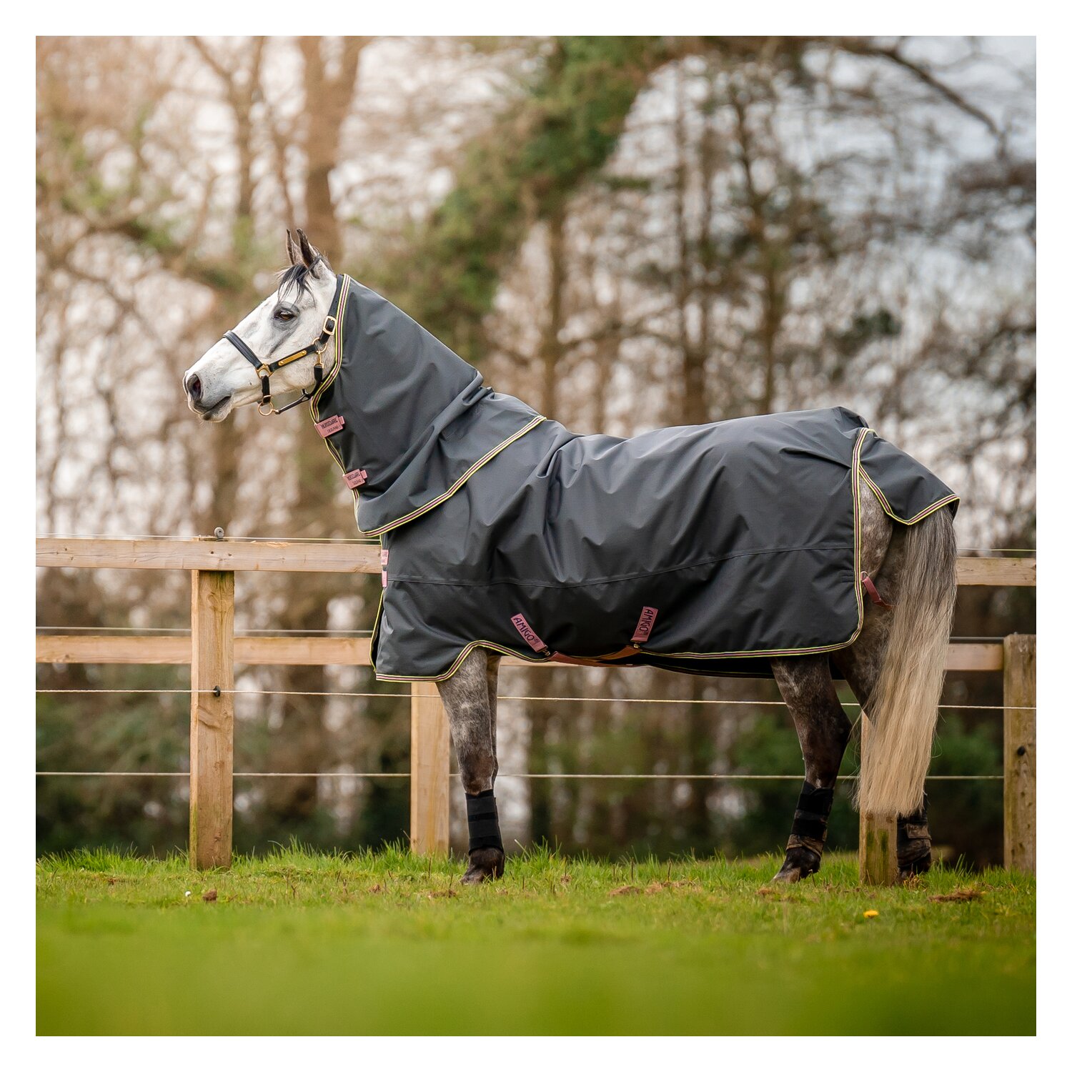 HORSEWARE Outdoordecke Amigo Hero Ripstop Plus Lite &ndash; Ansicht 4