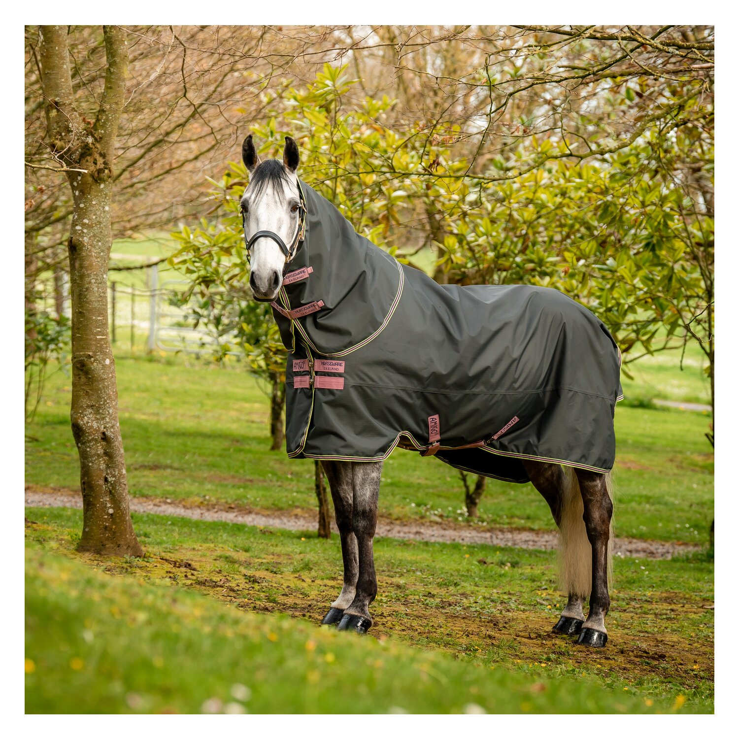 HORSEWARE Outdoordecke Amigo Hero Ripstop Plus Lite &ndash; Ansicht 5