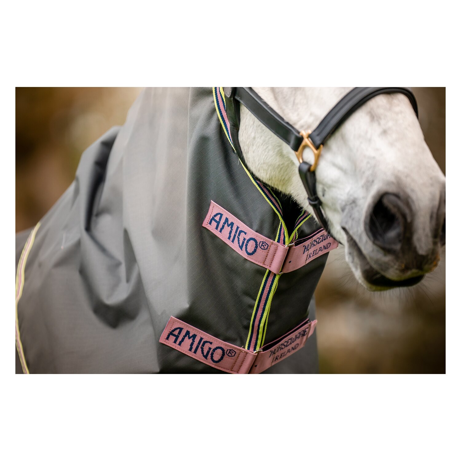 HORSEWARE Outdoordecke Amigo Hero Ripstop Plus Lite &ndash; Ansicht 7