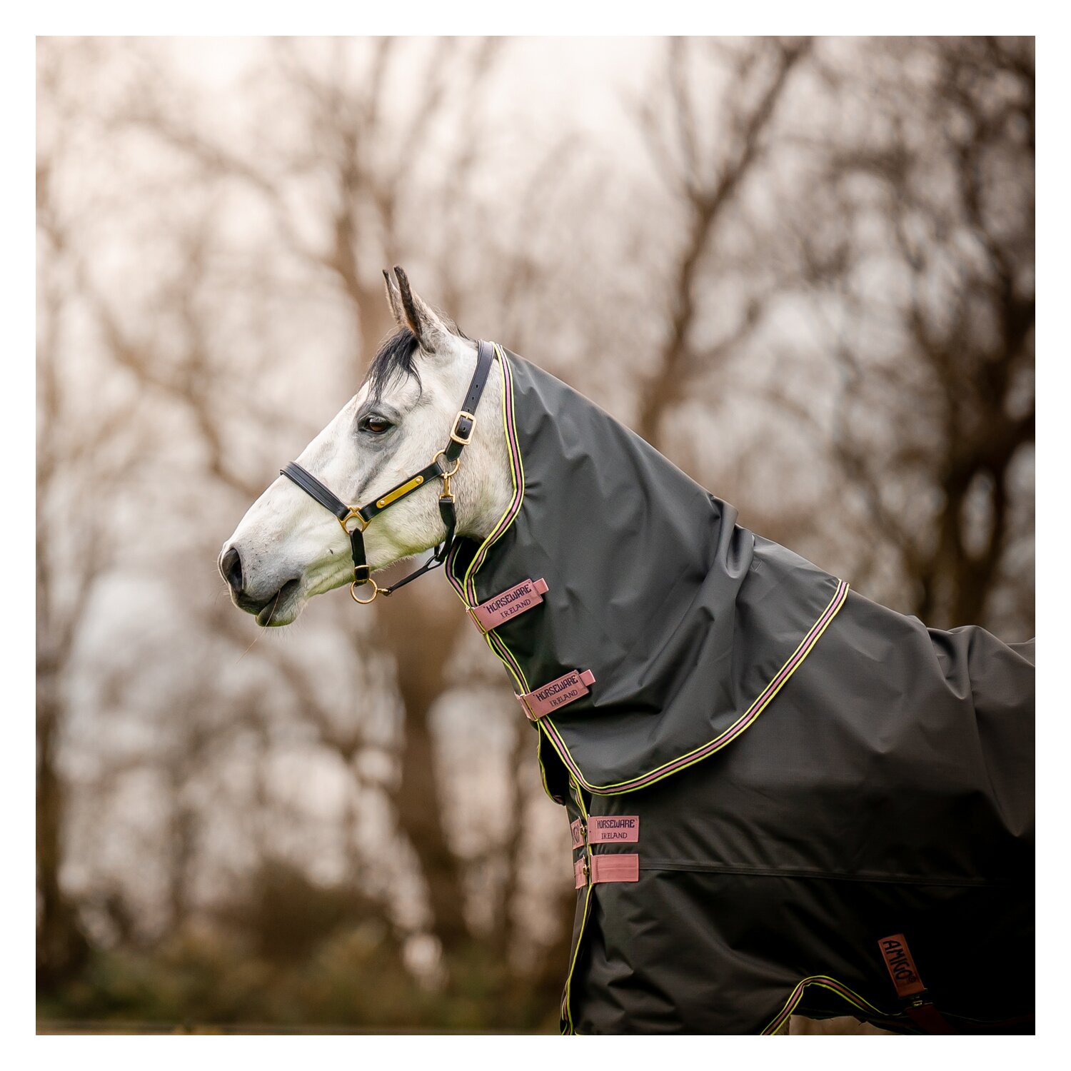HORSEWARE Outdoordecke Amigo Hero Ripstop Plus Lite &ndash; Ansicht 6