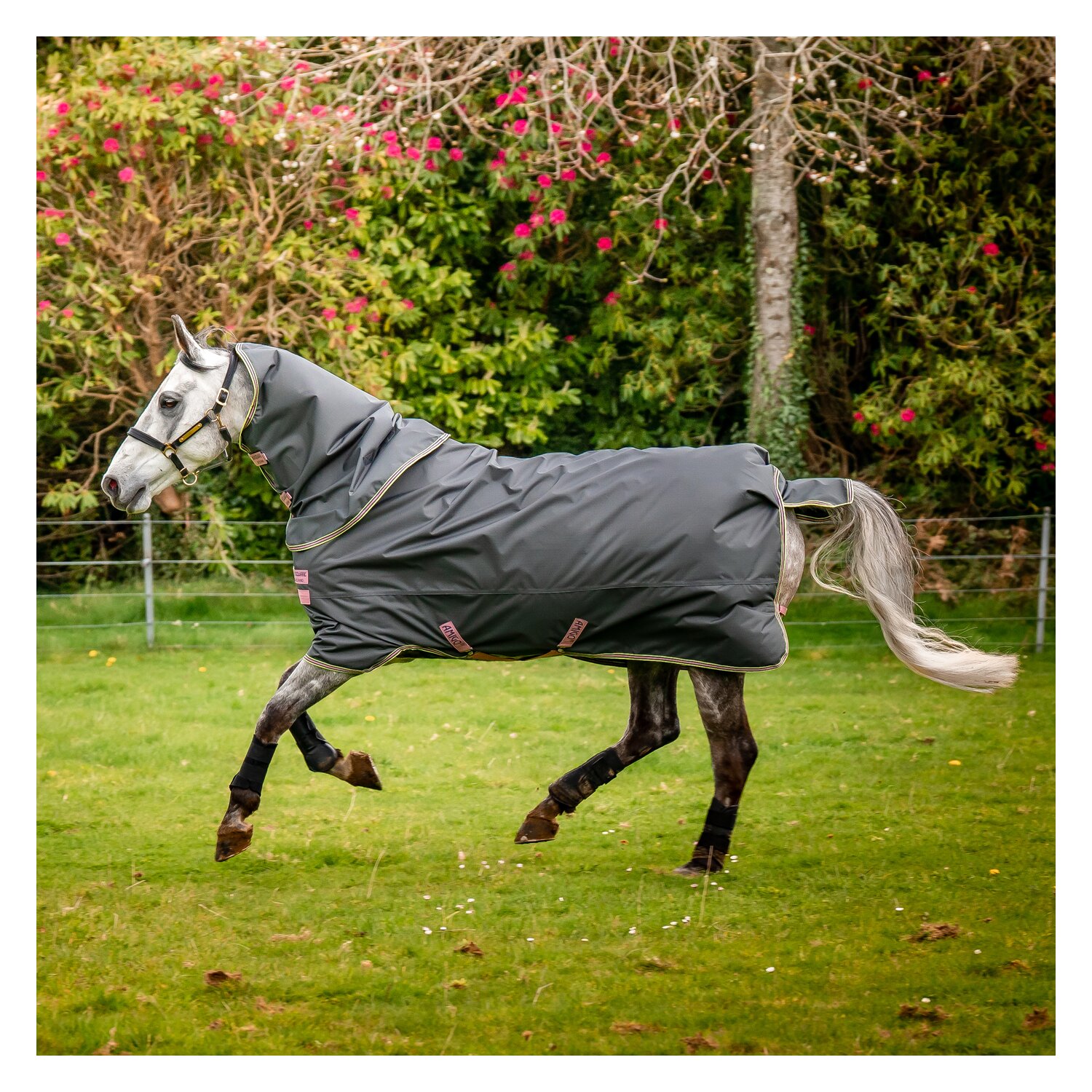 HORSEWARE Outdoordecke Amigo Hero Ripstop Plus Lite &ndash; Ansicht 1