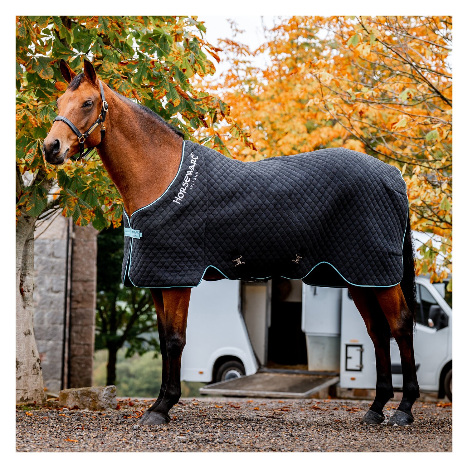 HORSEWARE Transport- und Abschwitzdecke Autumn Cooler – Ansicht 1