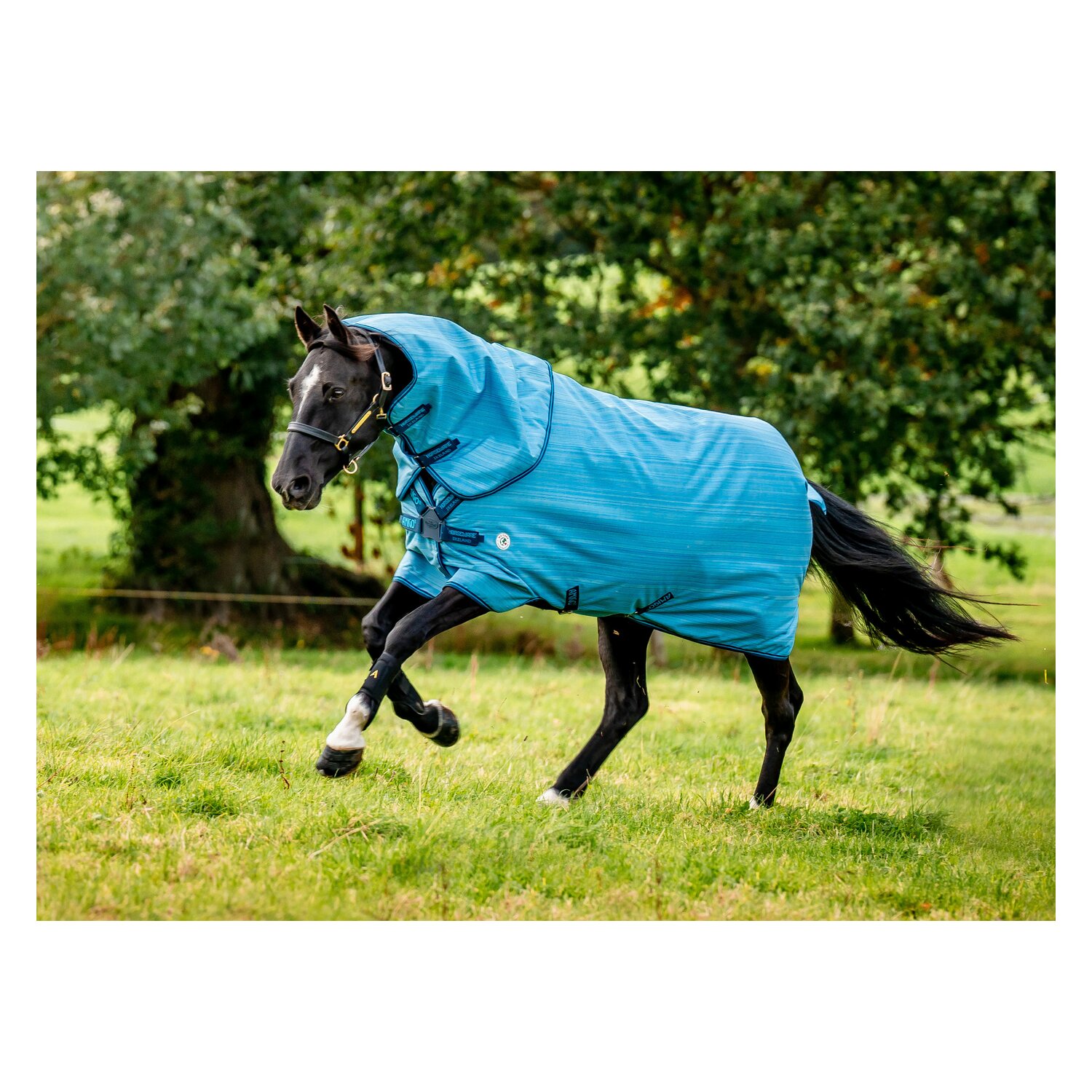HORSEWARE Outdoordecke AMIGO Hero 900 Revieve plus 50 g &ndash; Ansicht 2