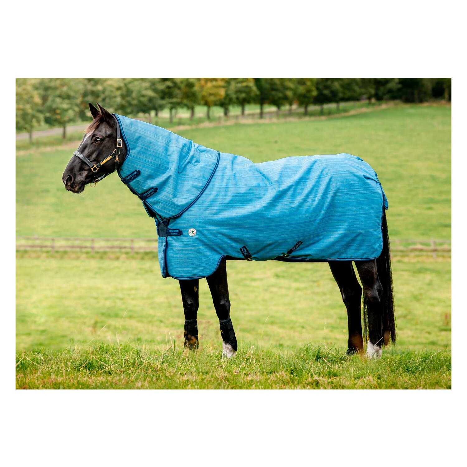 HORSEWARE Outdoordecke AMIGO Hero 900 Revieve plus 50 g &ndash; Ansicht 3