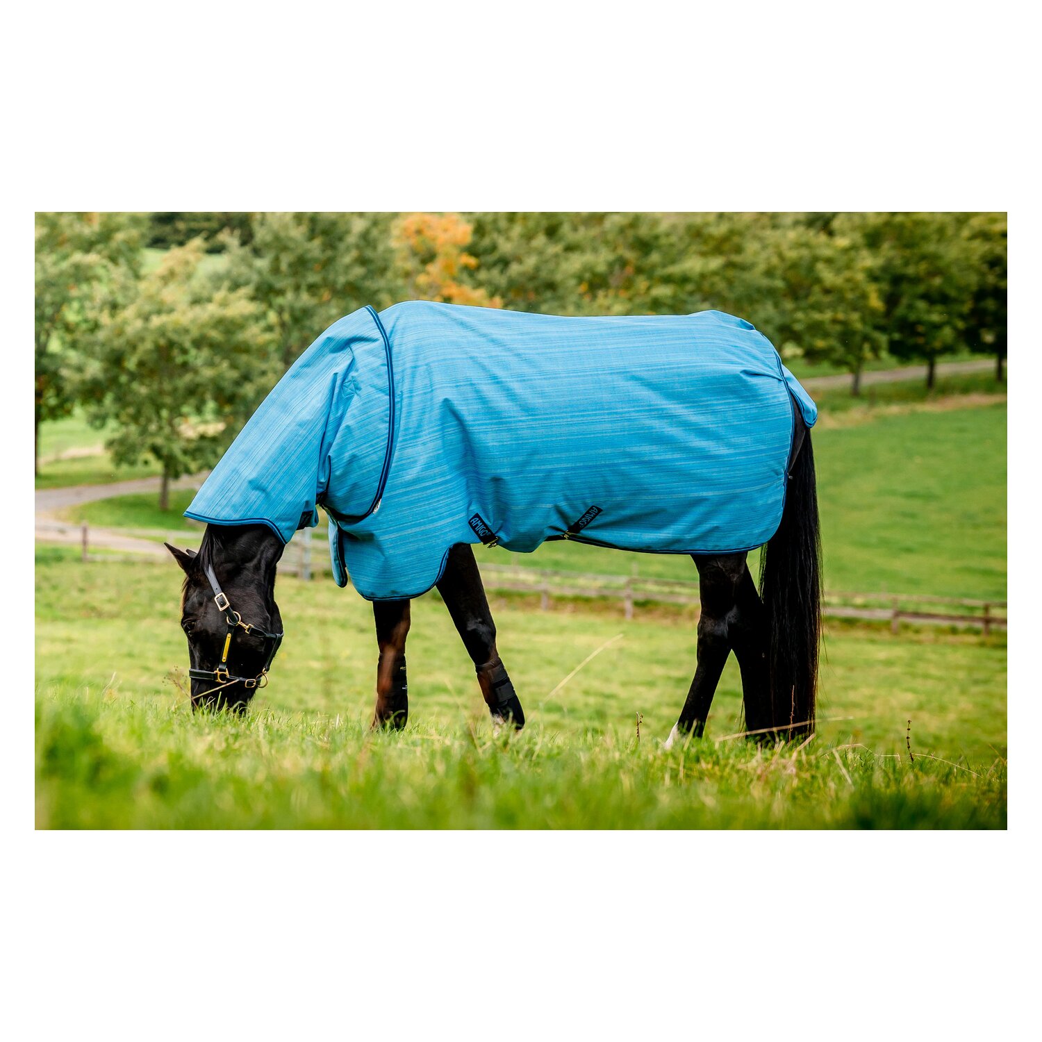HORSEWARE Outdoordecke AMIGO Hero 900 Revieve plus 50 g &ndash; Ansicht 4